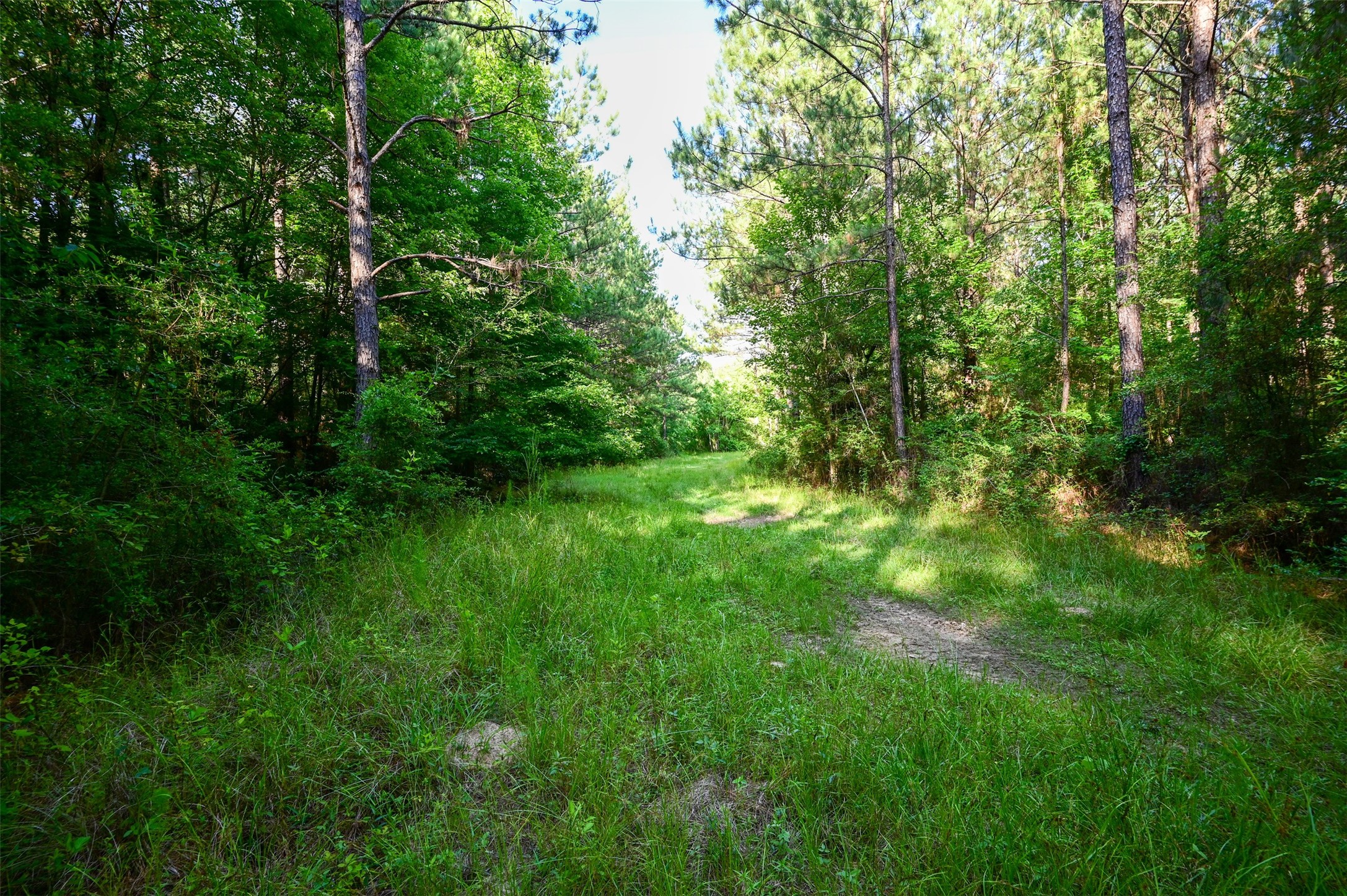 Tbd County Road 2150 Property Photo 9