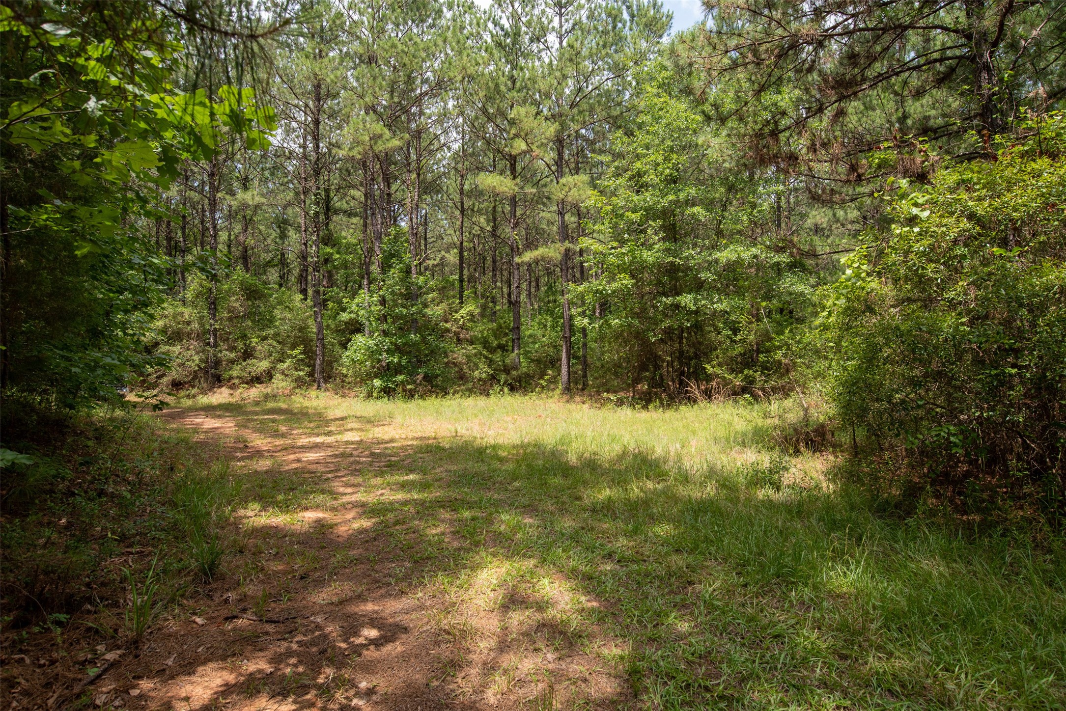 Tbd County Road 2150 Property Photo 10