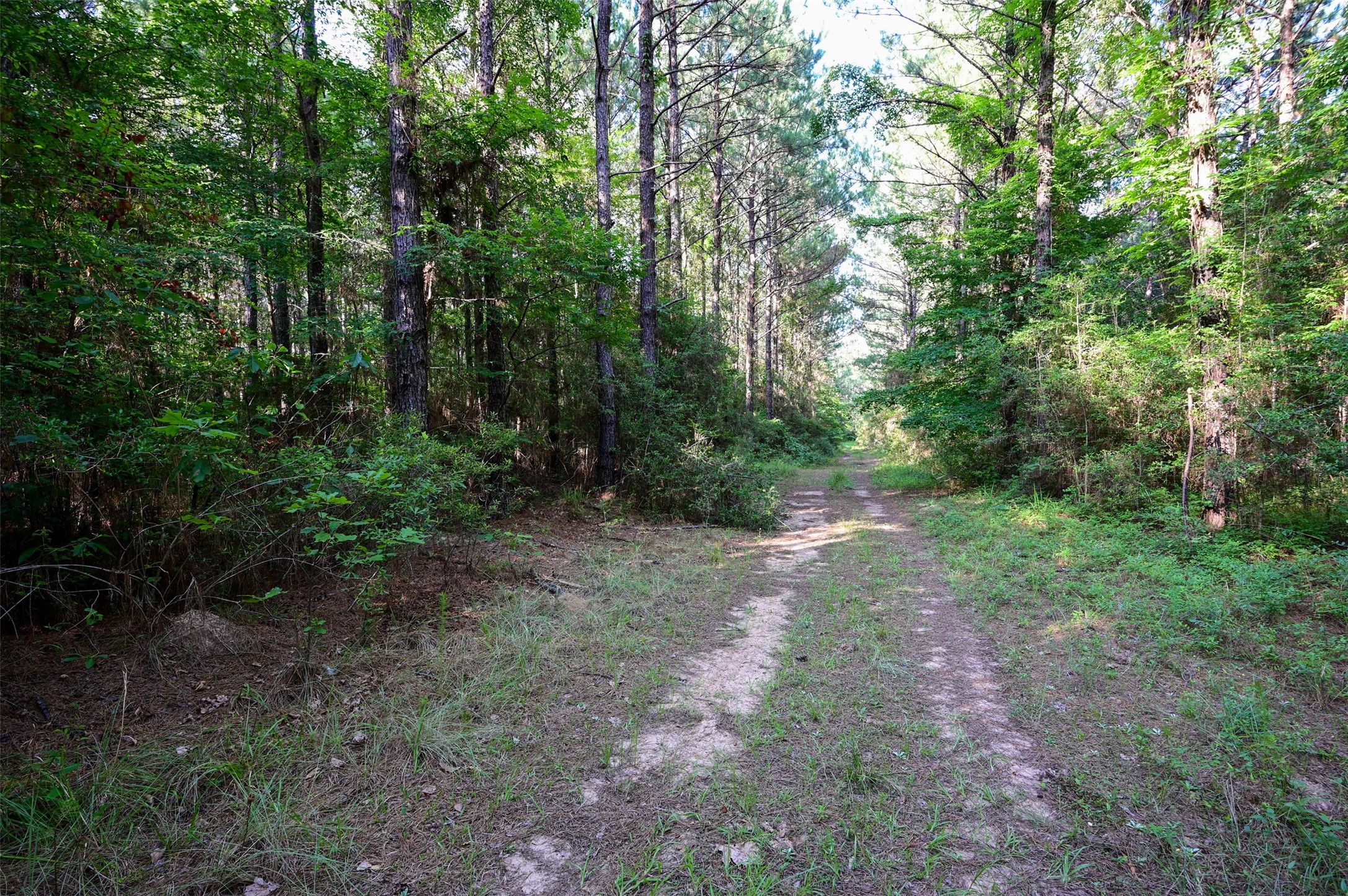 Tbd County Road 2150 Property Photo 12