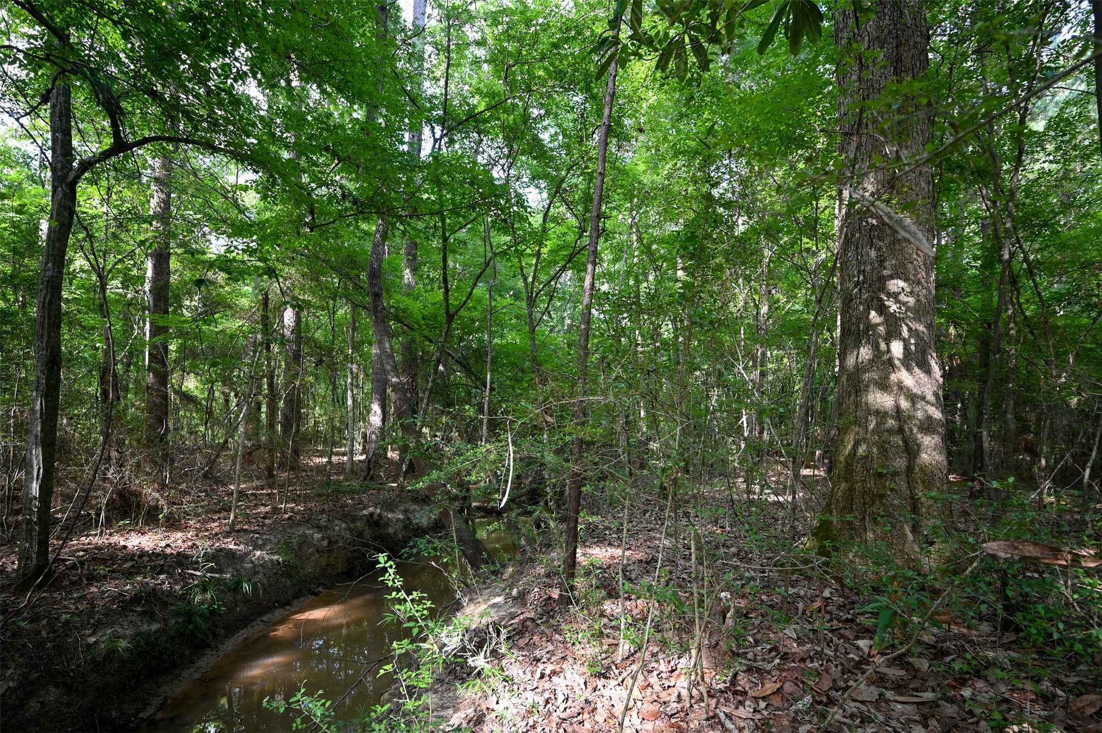 Tbd County Road 2150 Property Photo 14