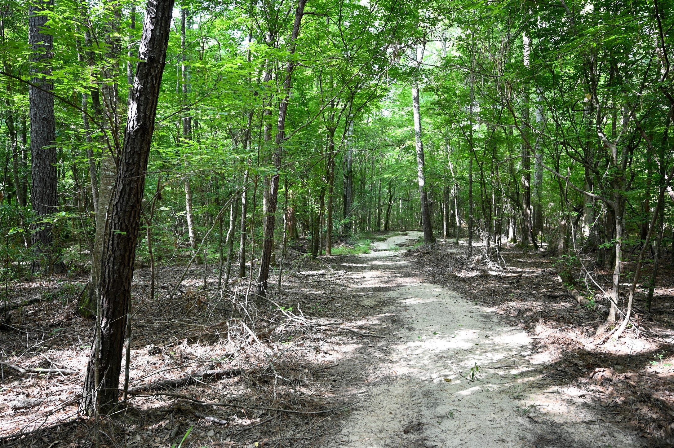 Tbd County Road 2150 Property Photo 15