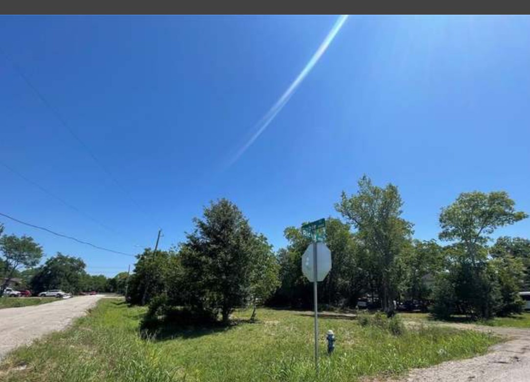 10131 Dobie Street Property Photo 2