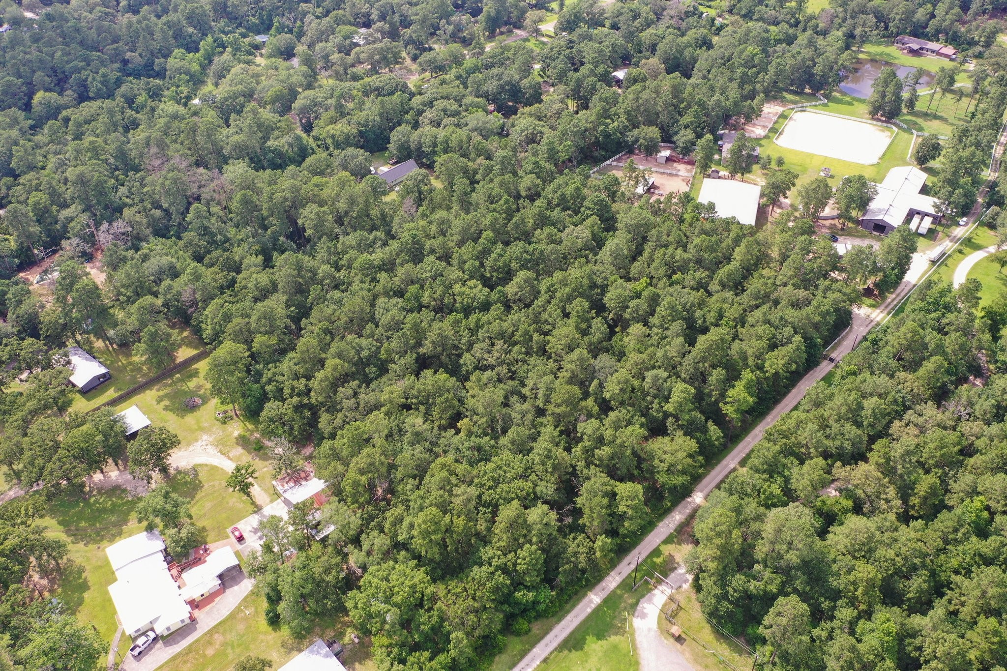 5.2ac Coe Loop Property Photo 9
