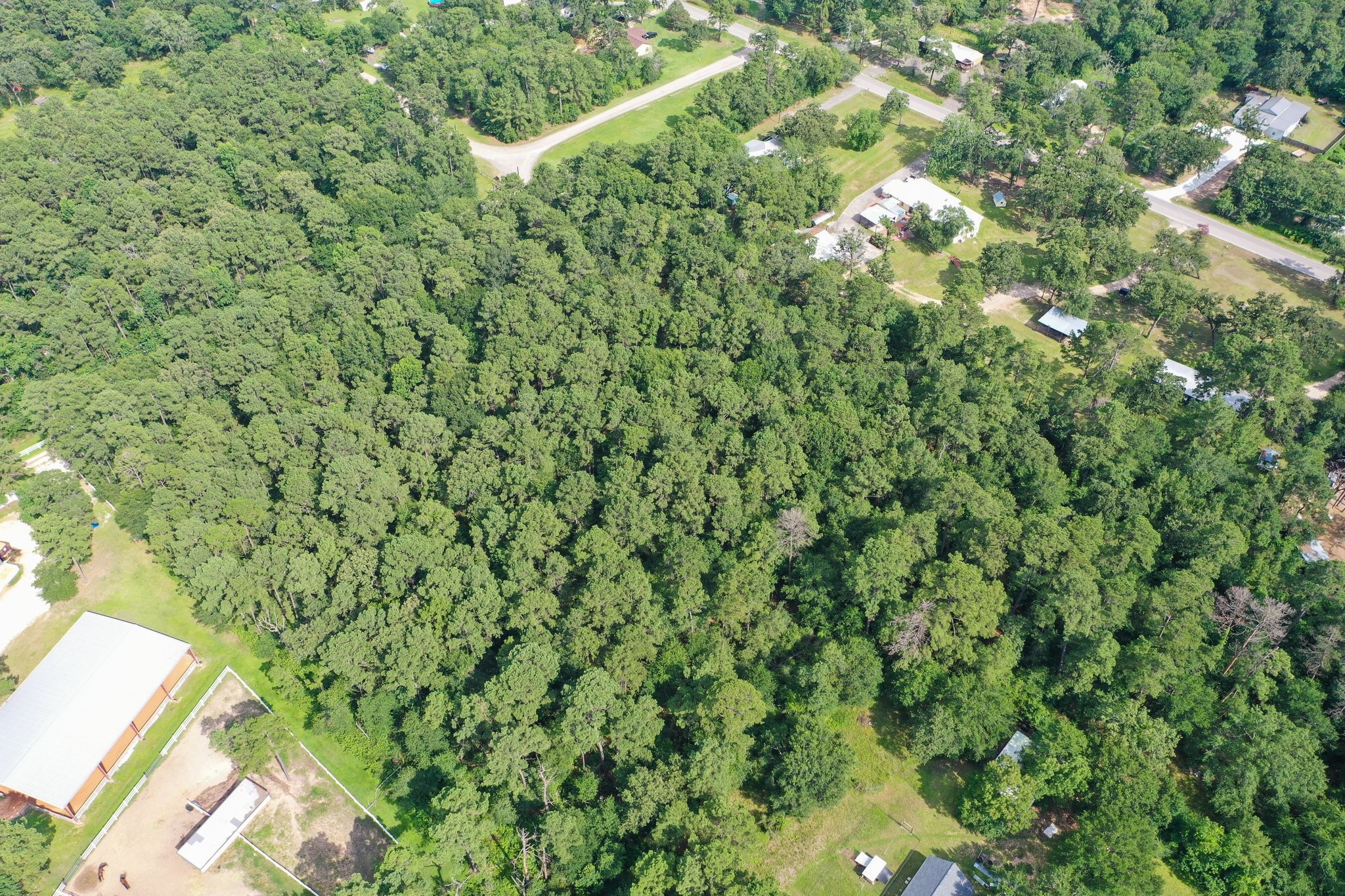 5.2ac Coe Loop Property Photo 14
