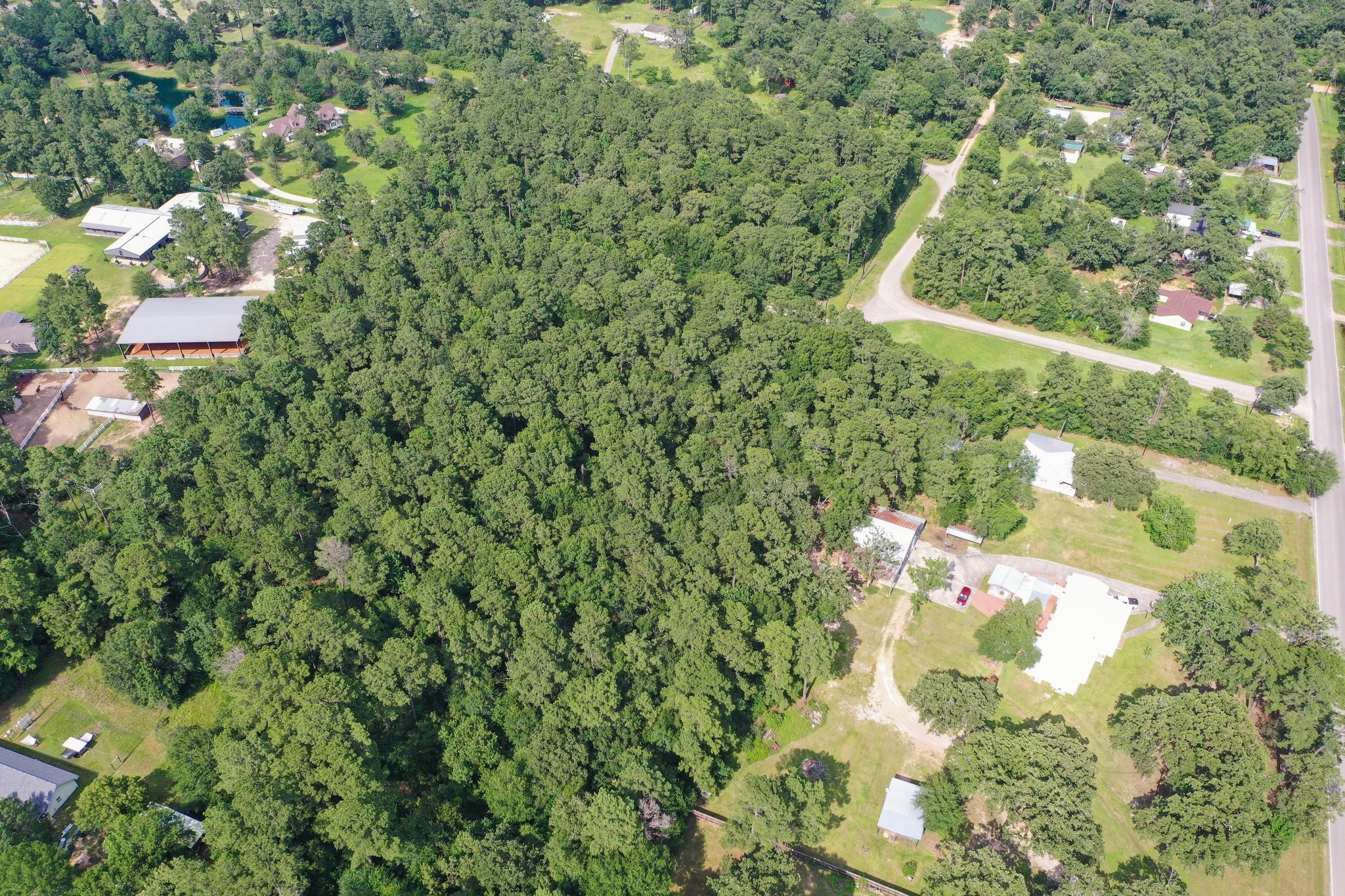 5.2ac Coe Loop Property Photo 15