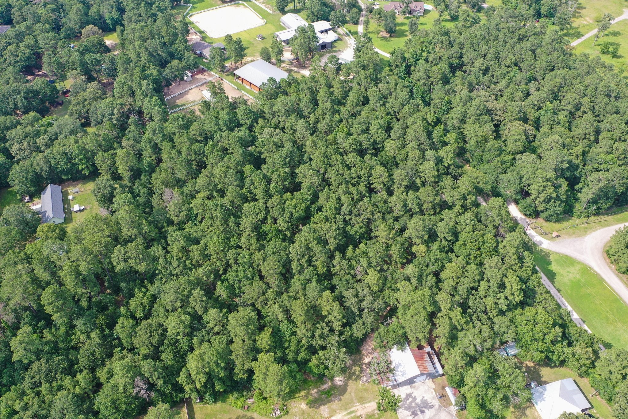 5.2ac Coe Loop Property Photo 16