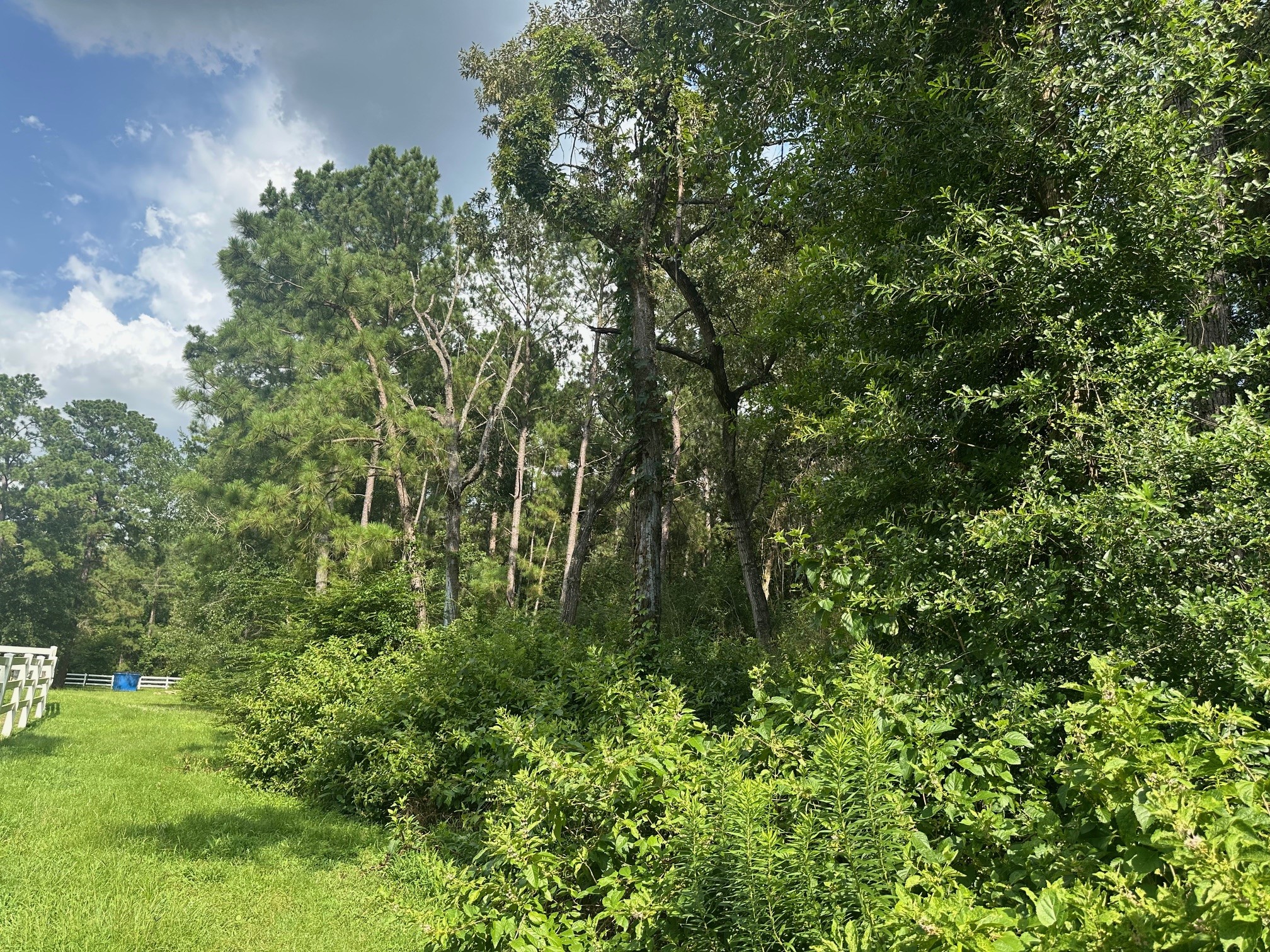 5.2ac Coe Loop Property Photo 26