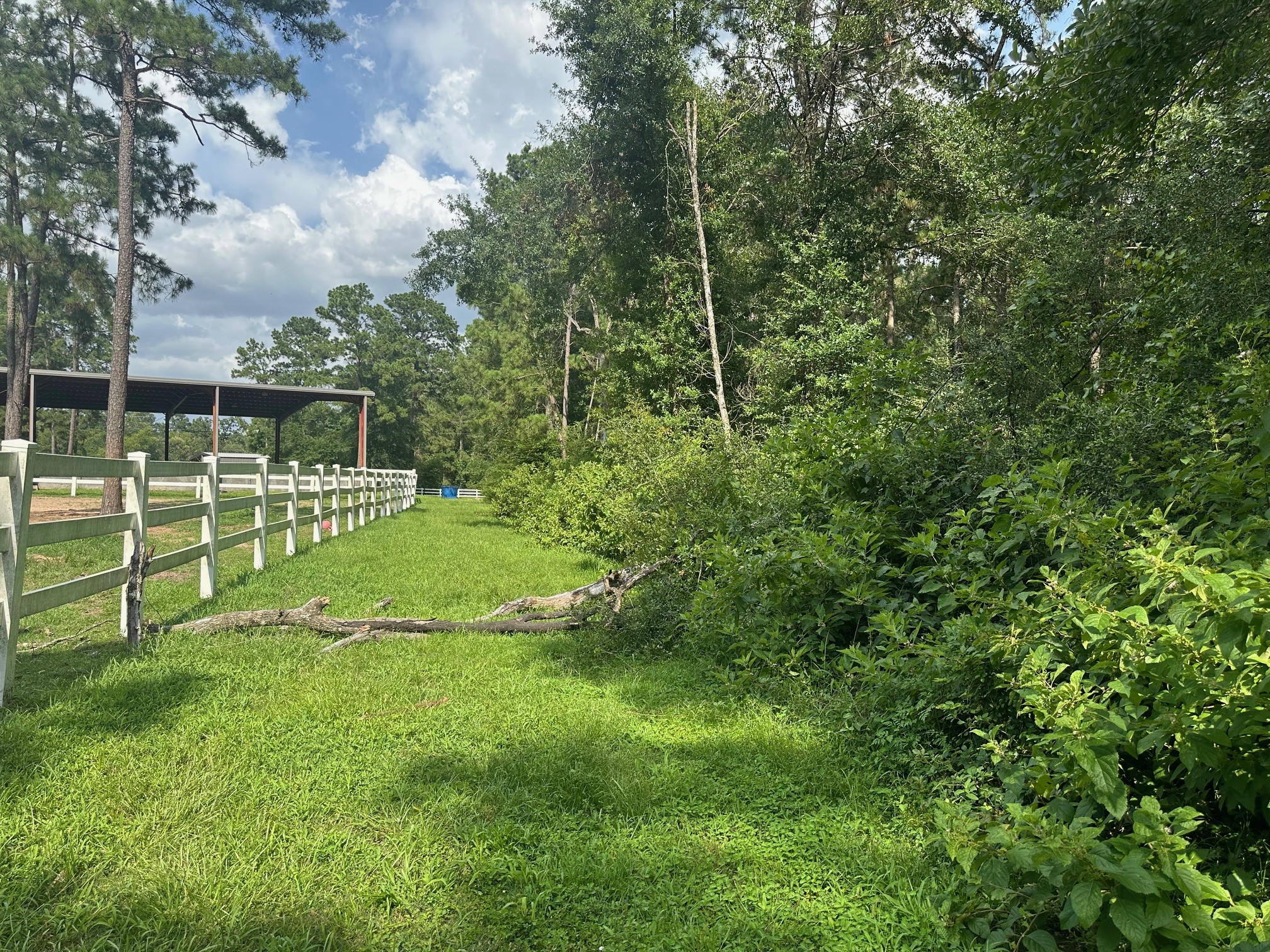 5.2ac Coe Loop Property Photo 27
