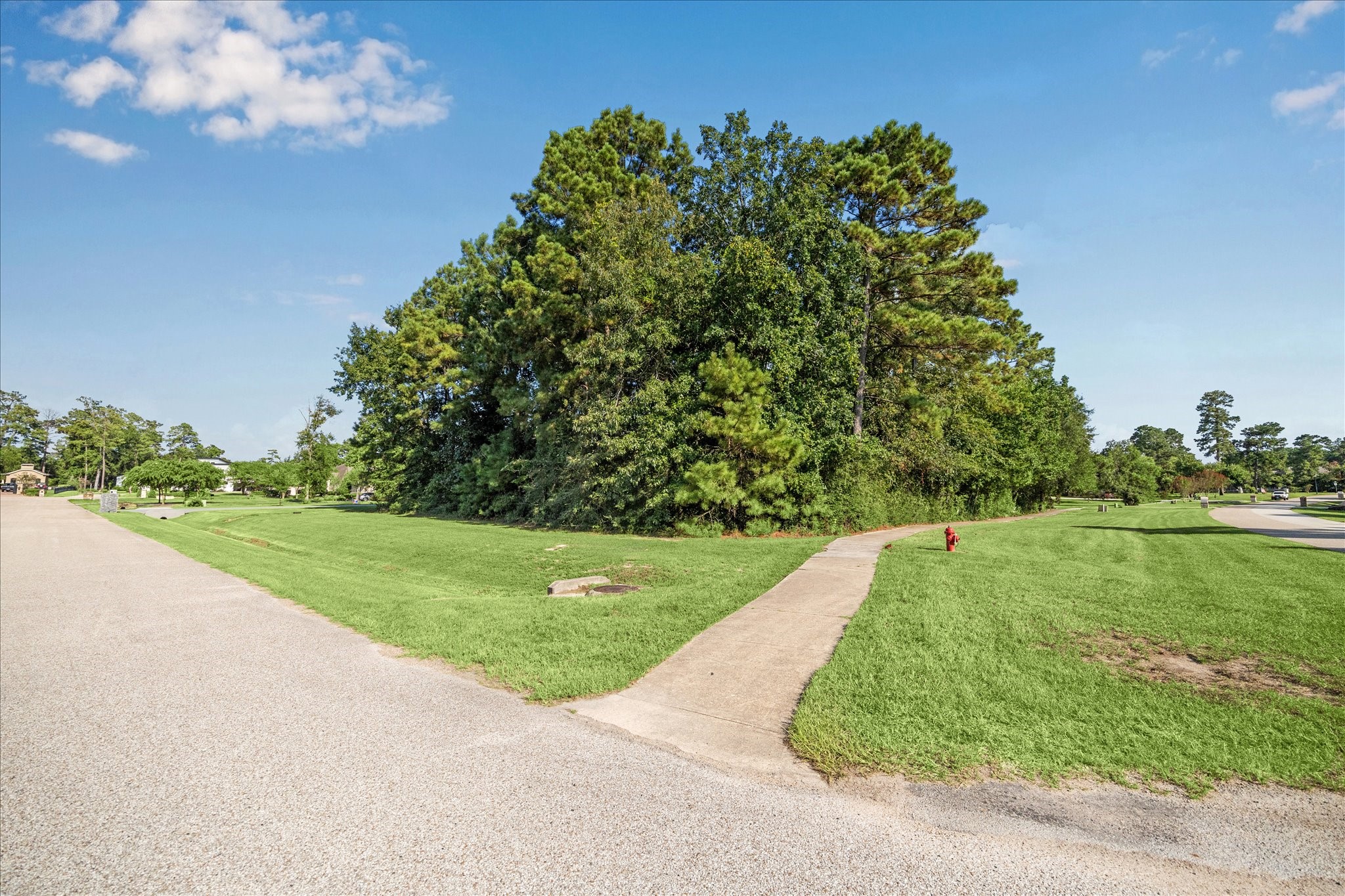 4502 Siandra Creek Court Property Photo 3