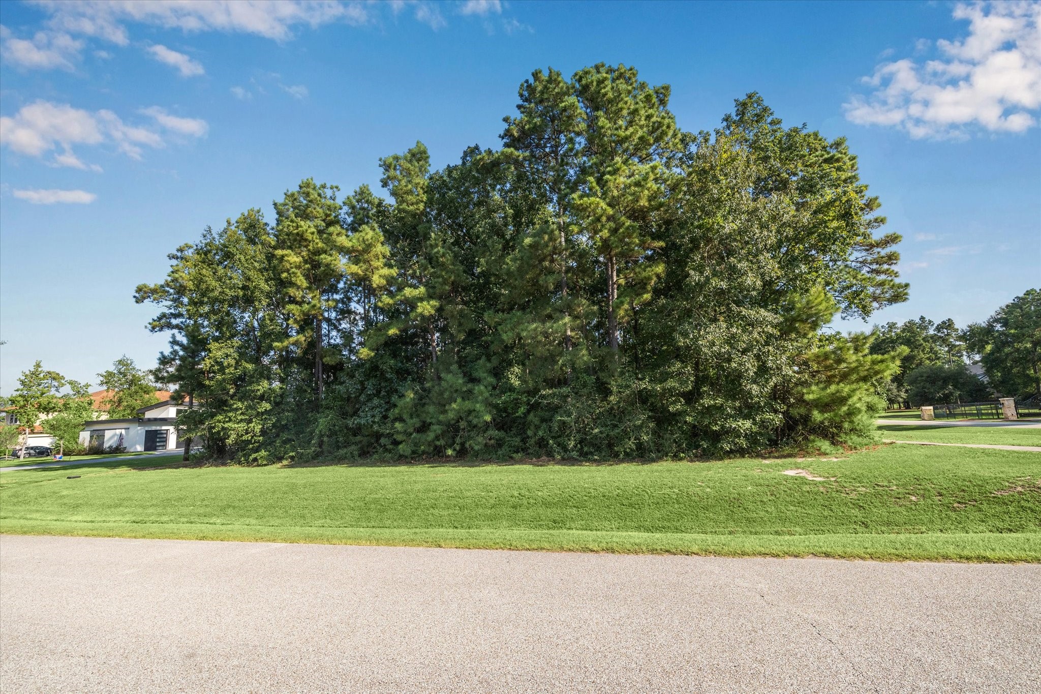 4502 Siandra Creek Court Property Photo 4