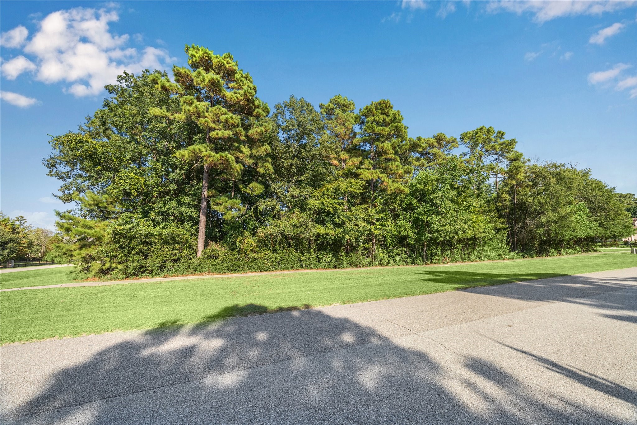 4502 Siandra Creek Court Property Photo 5