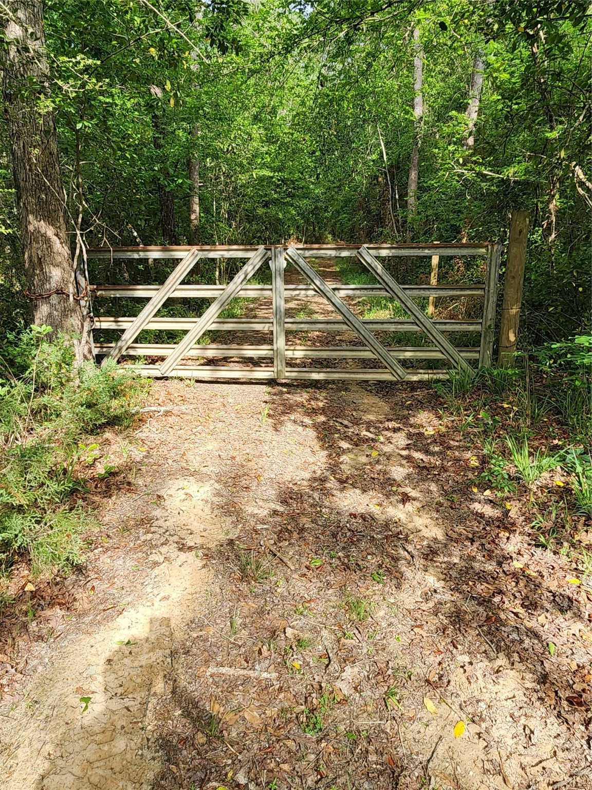 Tbd Ward Road Property Photo 1