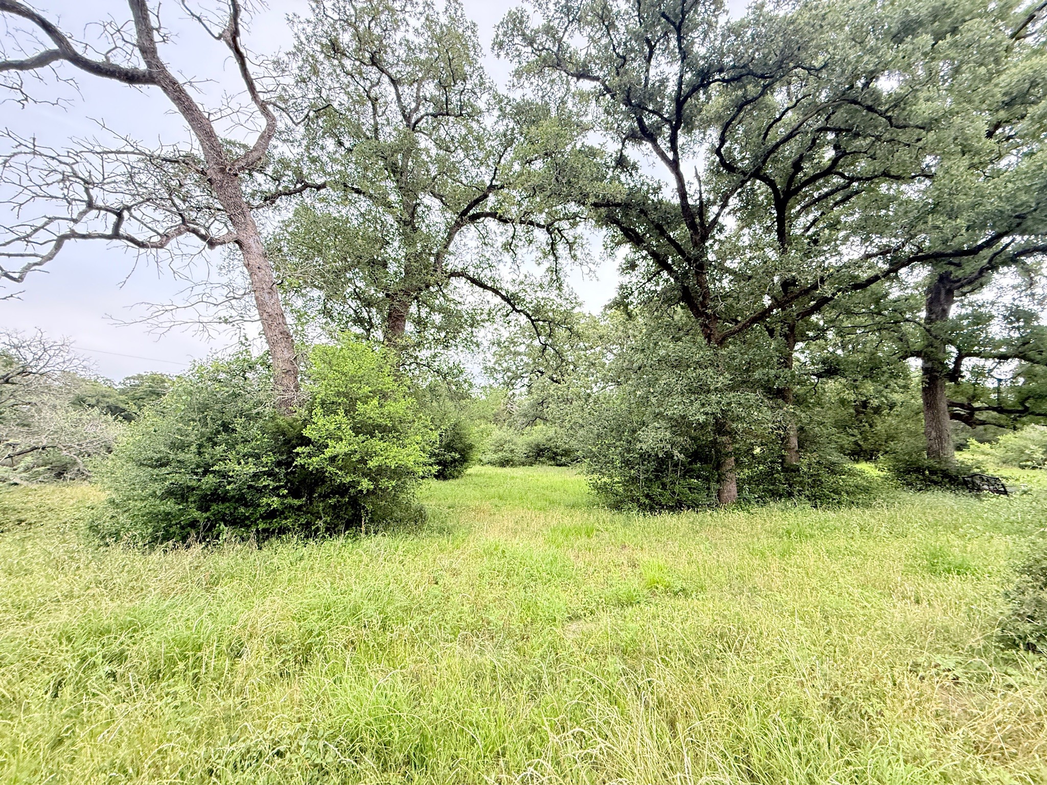 Tbd Wannabe Road Property Photo 30