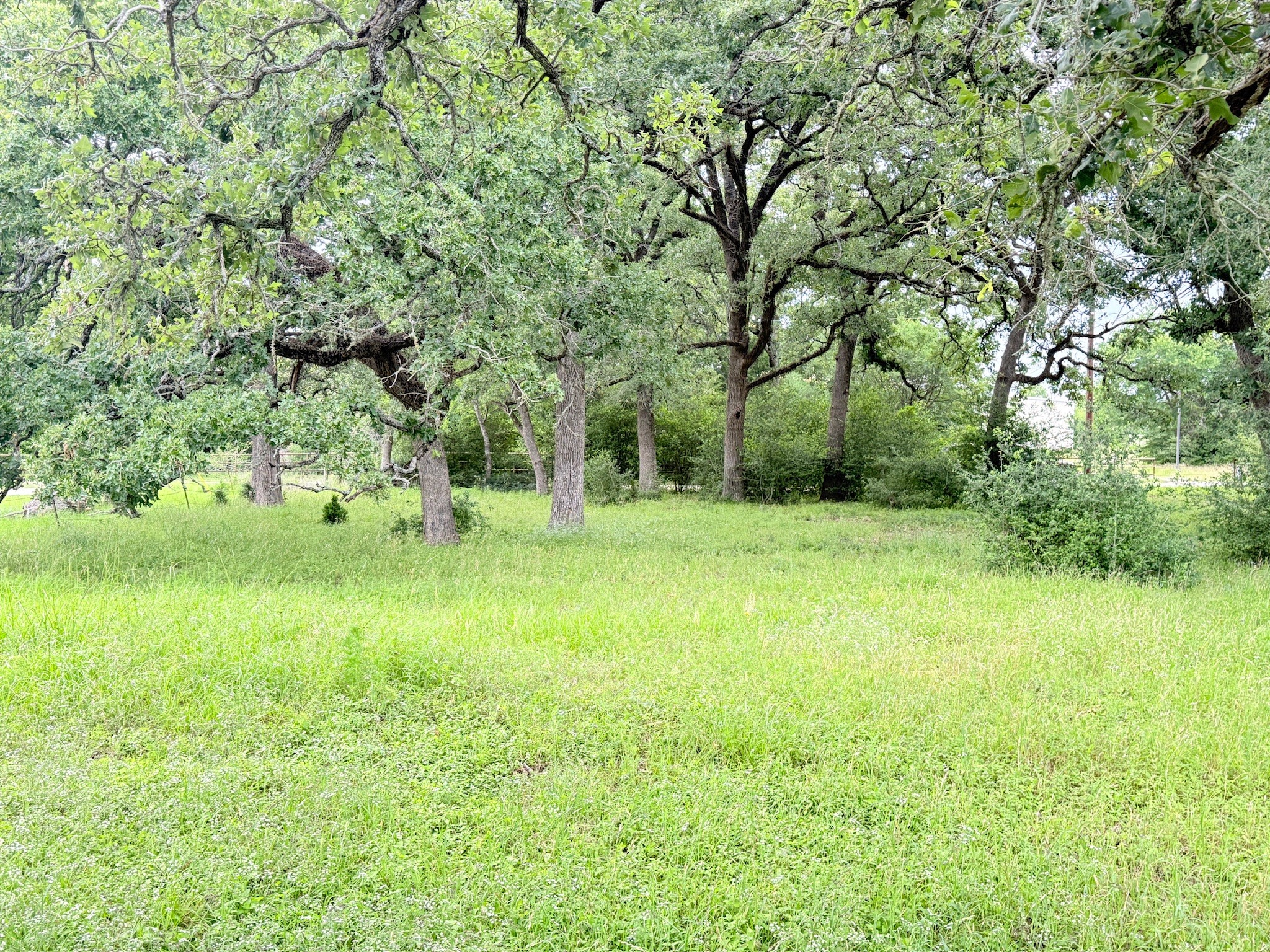 Tbd Wannabe Road Property Photo 36
