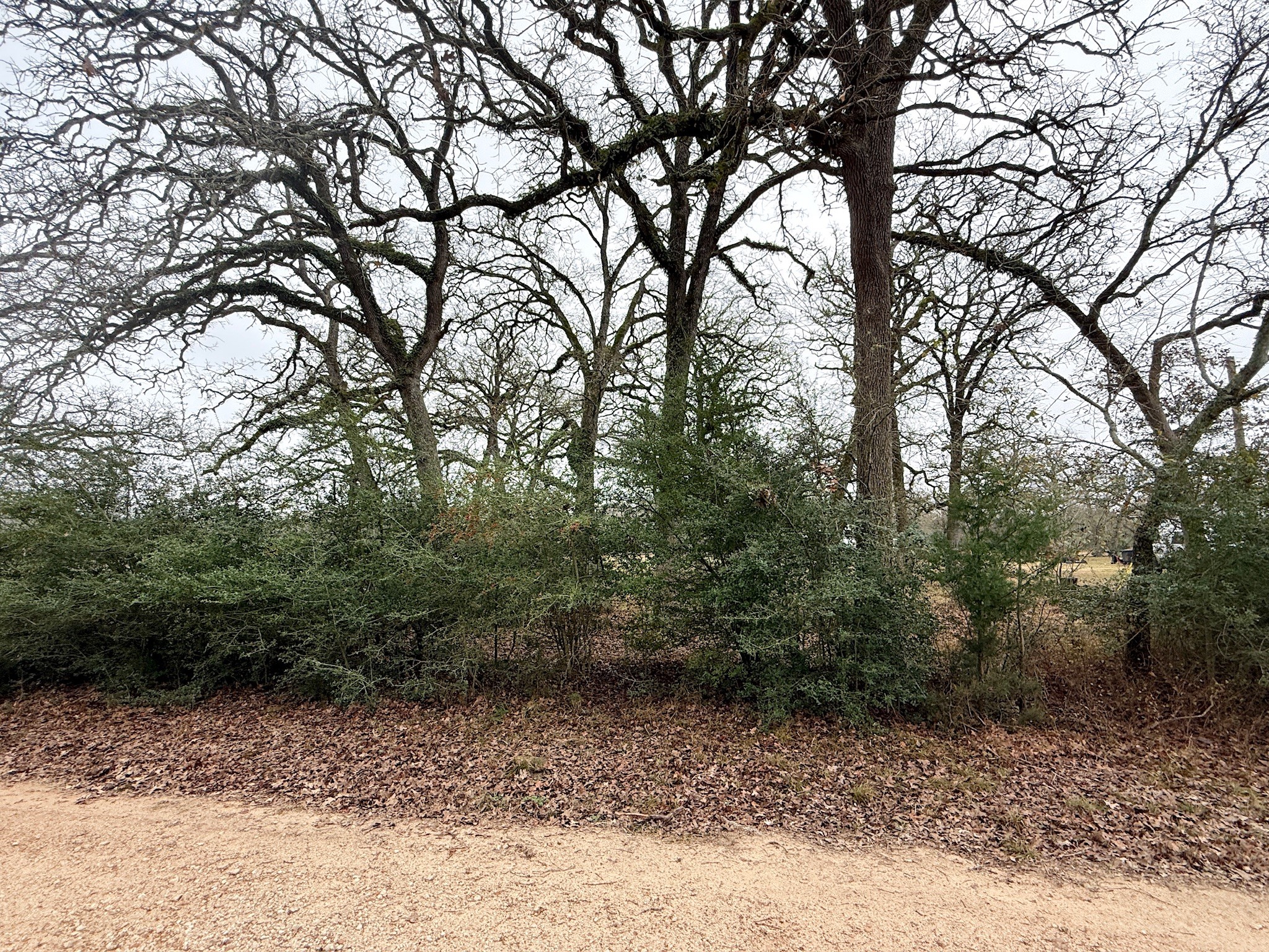 Tbd Wannabe Road Property Photo 39