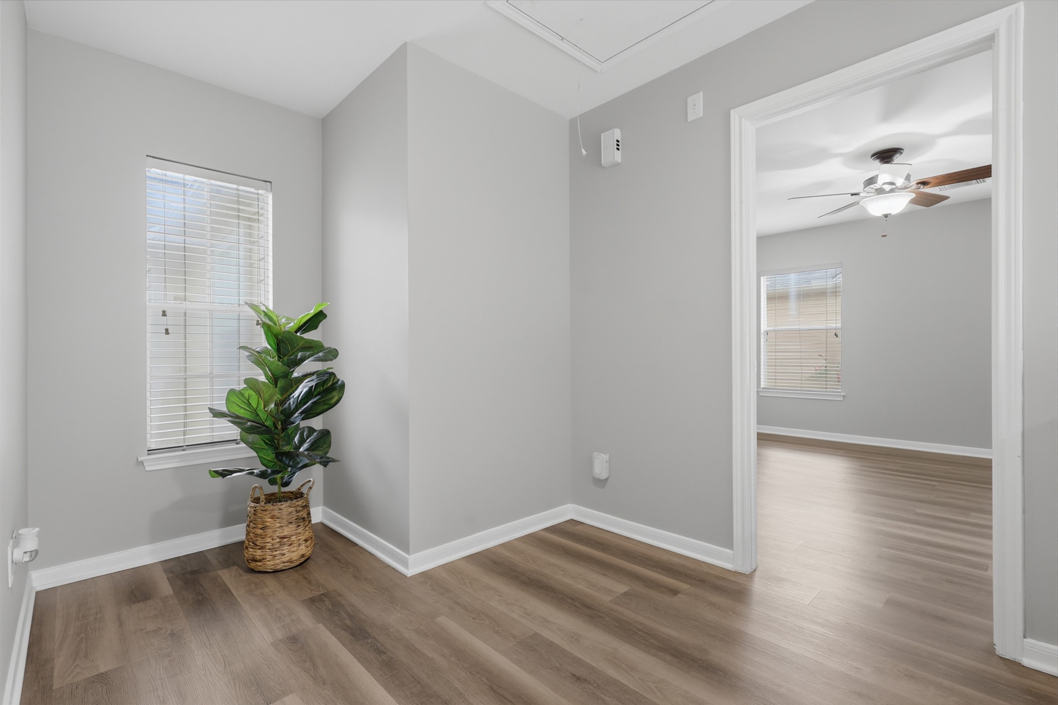 832 Cohn Street Property Photo 19