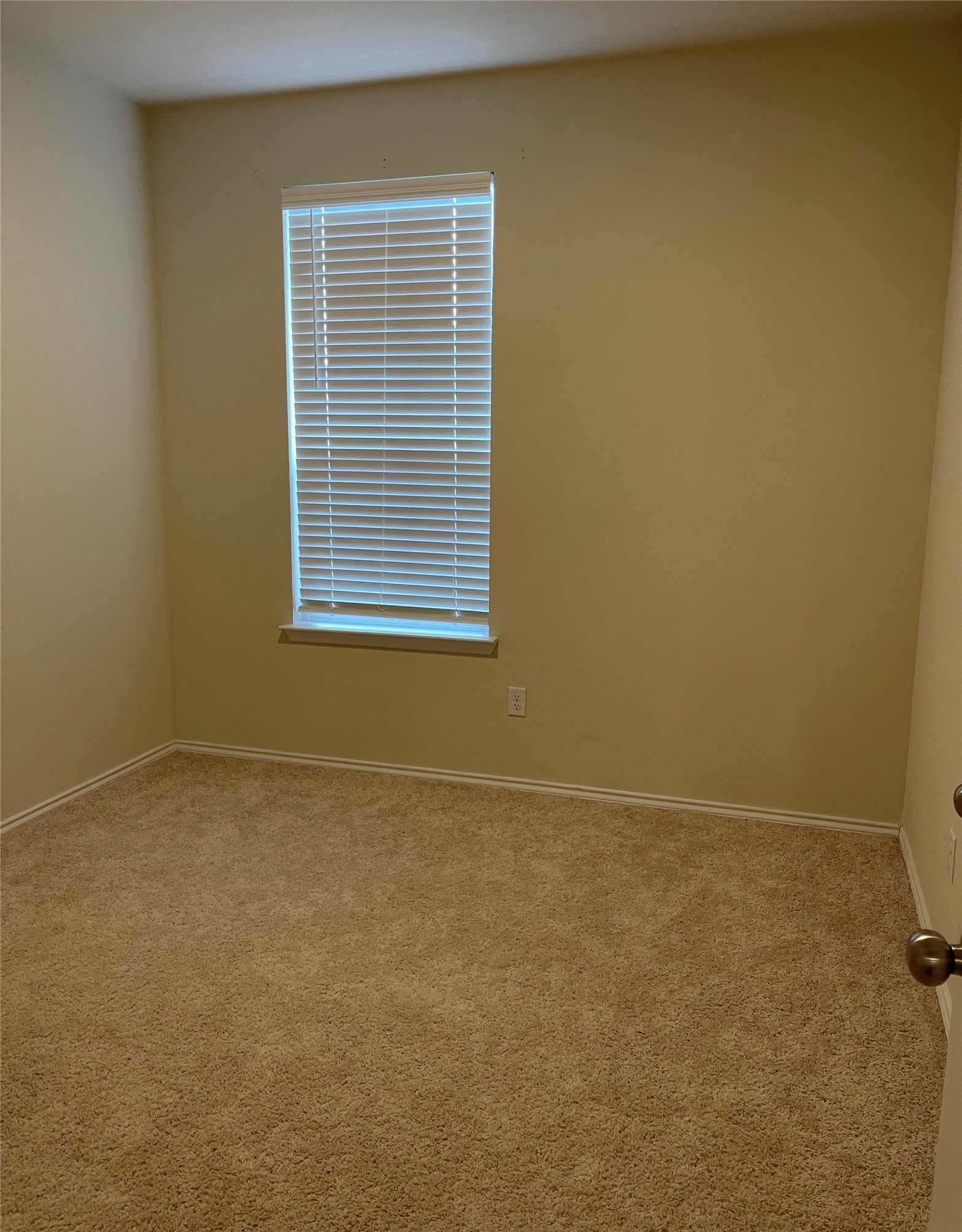 10227 Bandwagon Property Photo 16