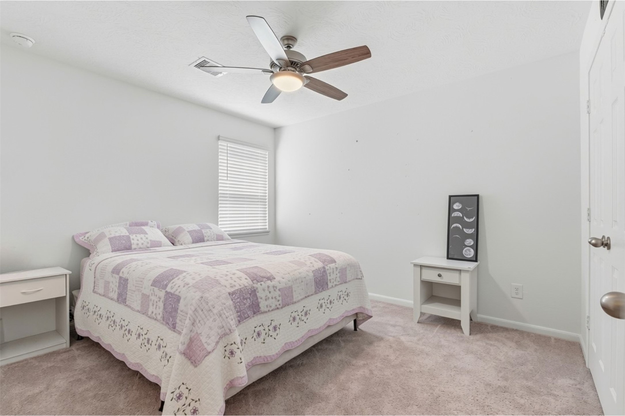 6255 Topaz Pines Trail Property Photo 19
