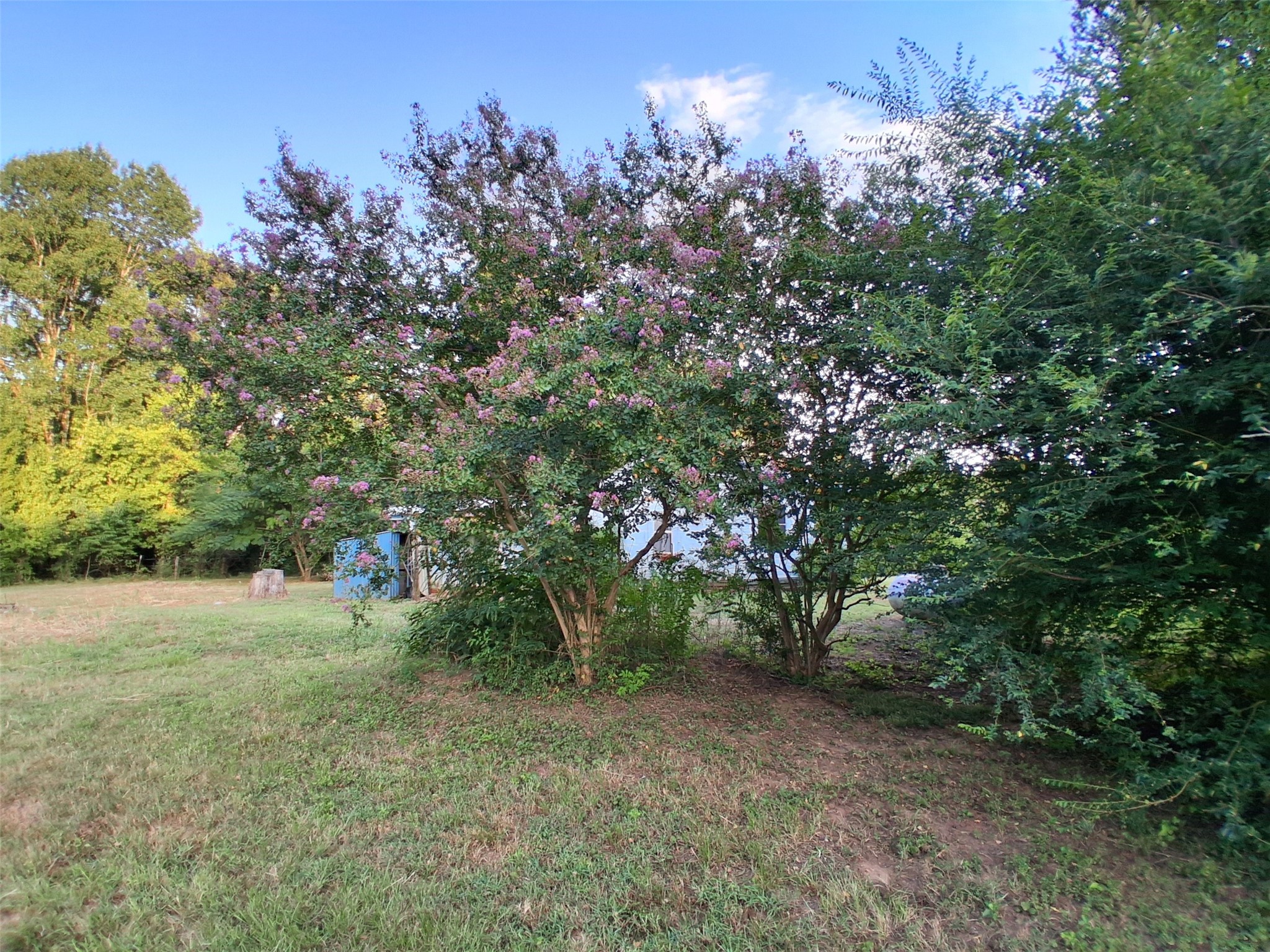 161 An County Road 126 Property Photo 26