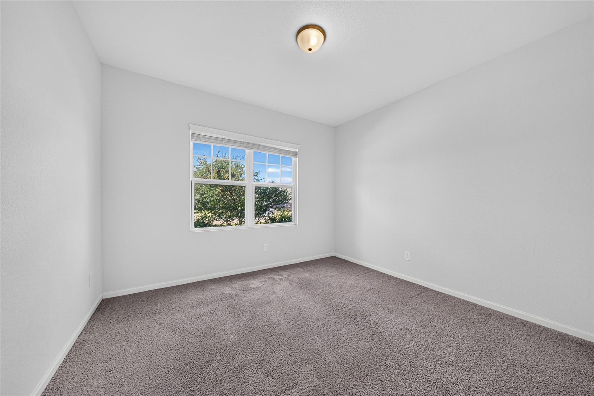 980 Blue Beech Lane Property Photo 17