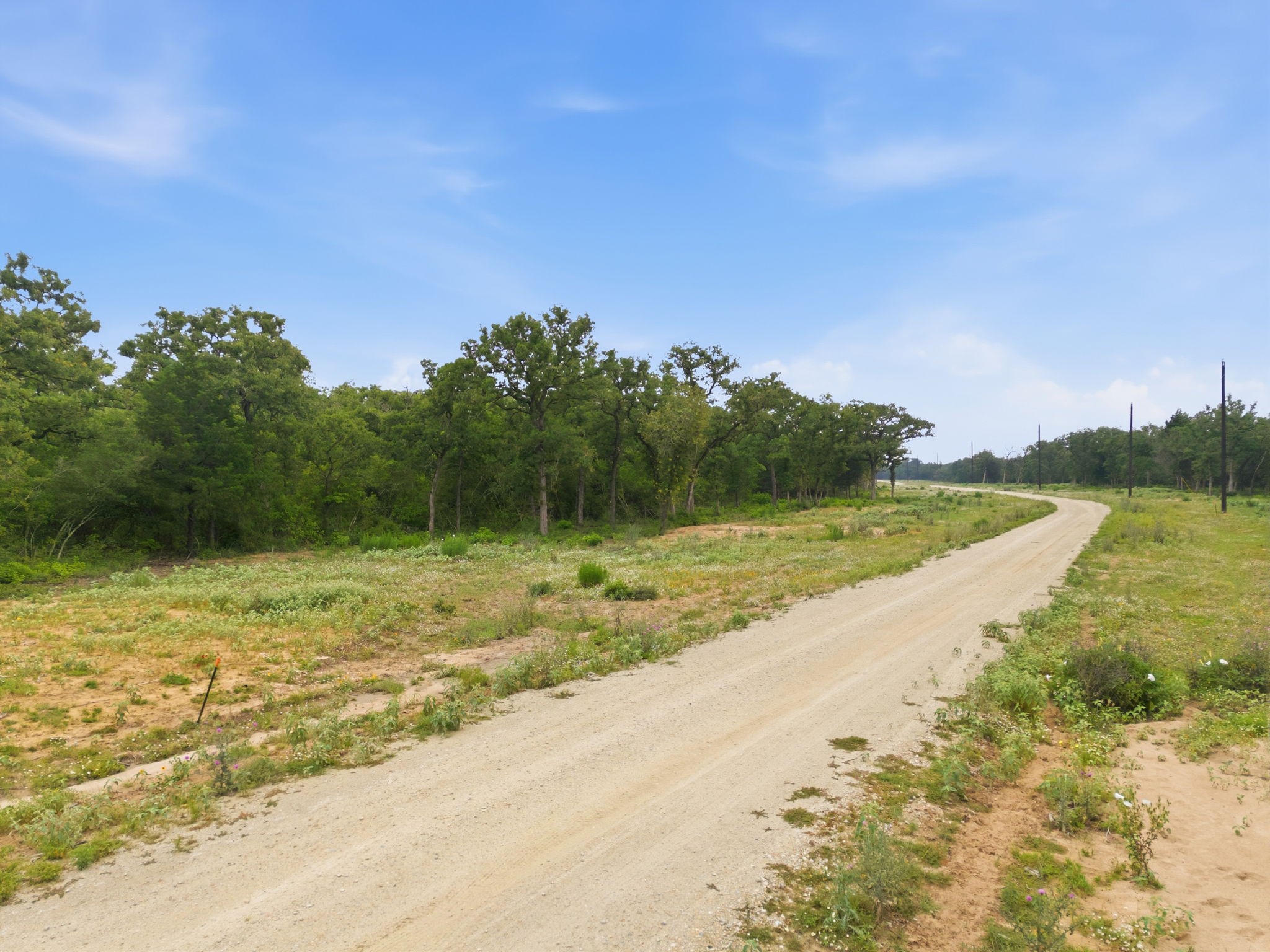 Lot 30 Woodland Trail Property Photo 4