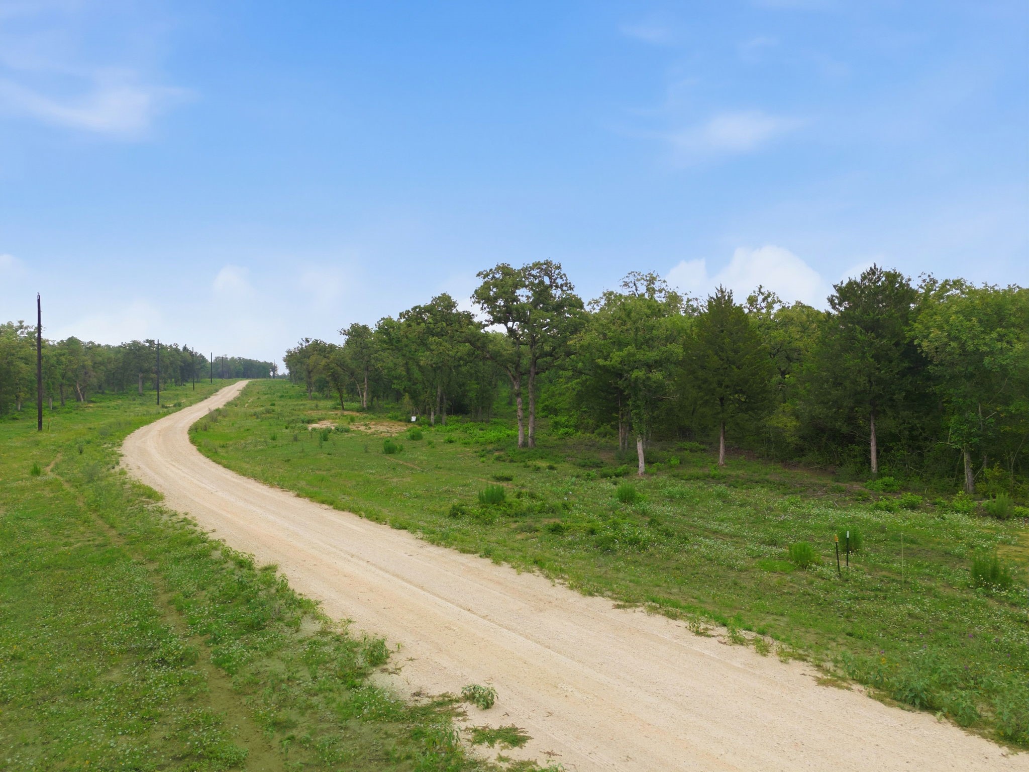 Lot 30 Woodland Trail Property Photo 5