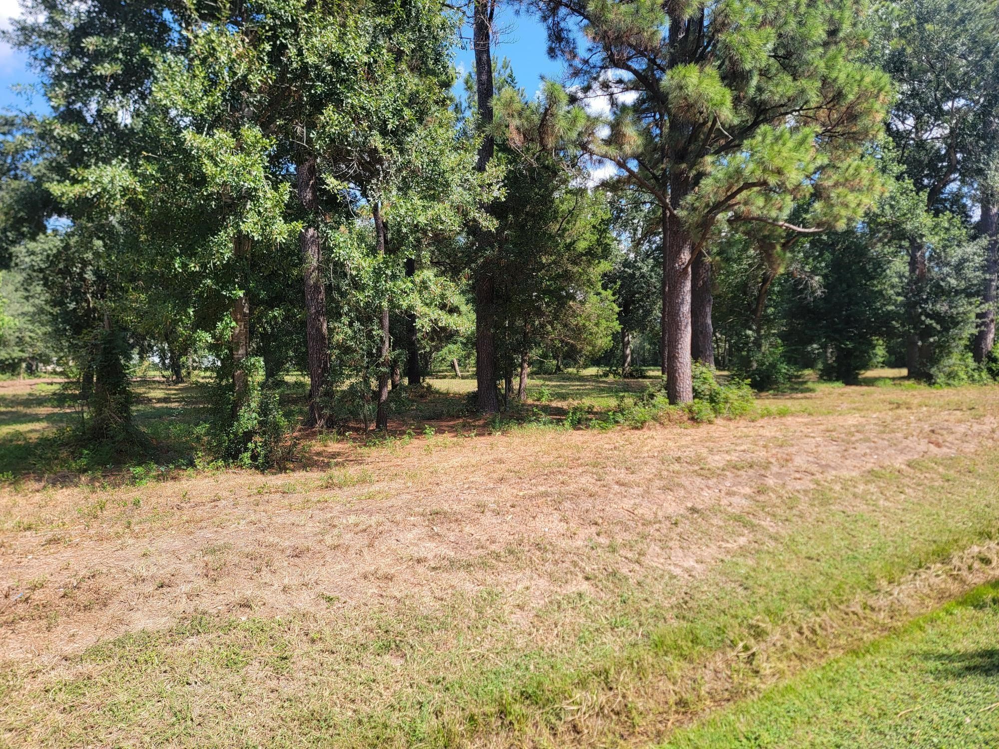 0 11th Street Property Photo 5