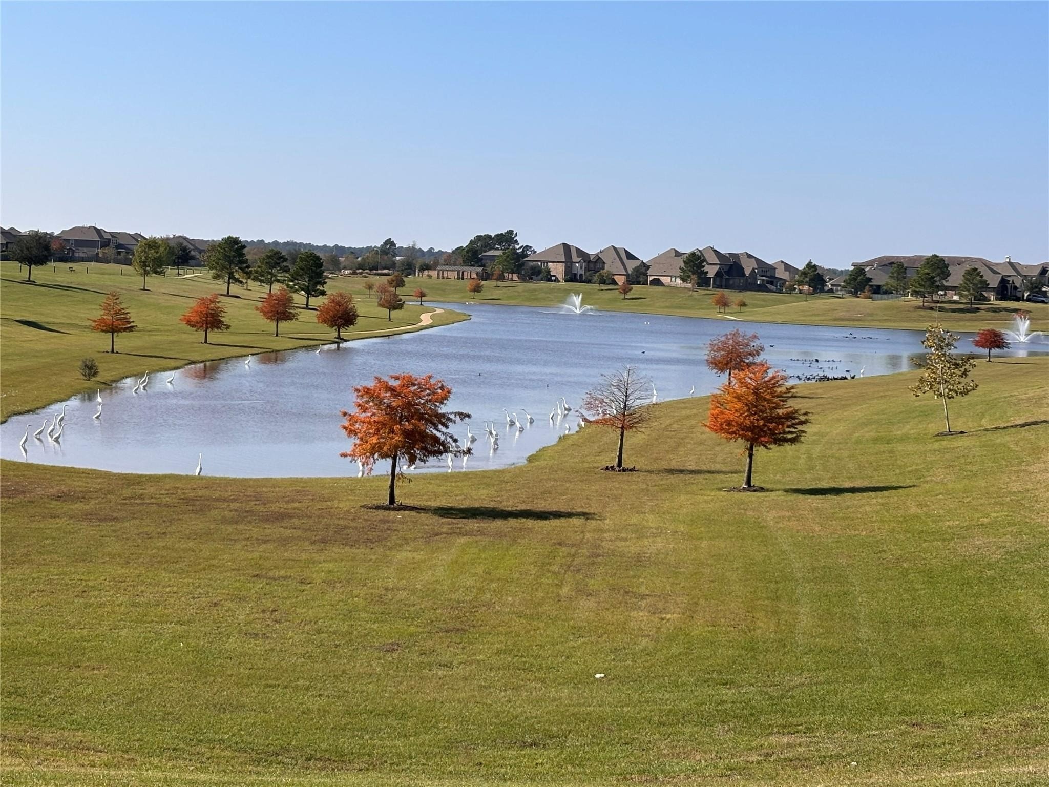 7414 Evelyn Grove Drive Property Photo 42