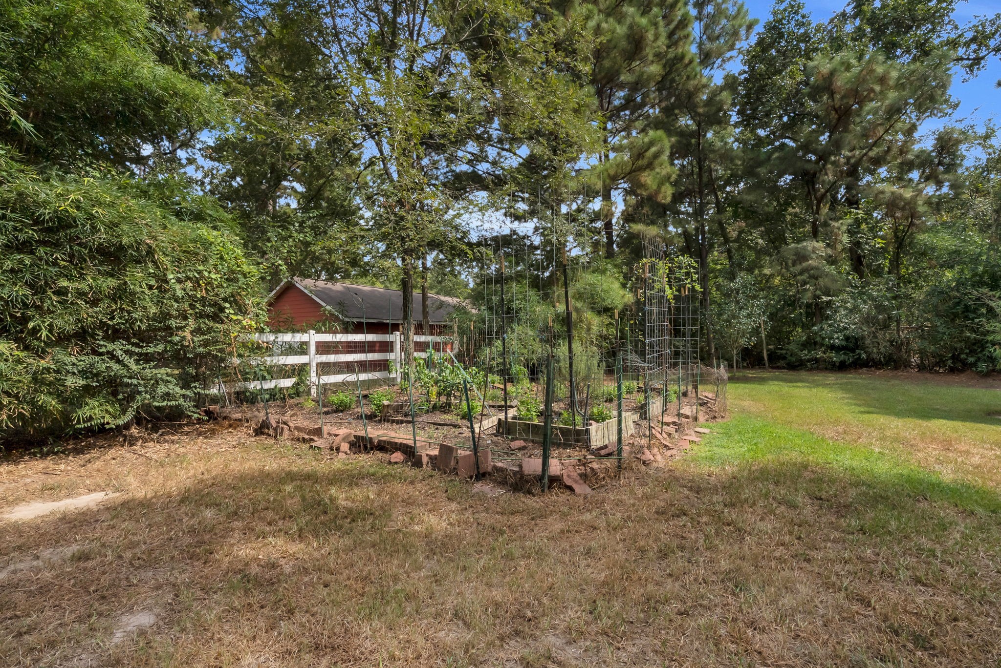 11716 Great Oak Boulevard Property Photo 38
