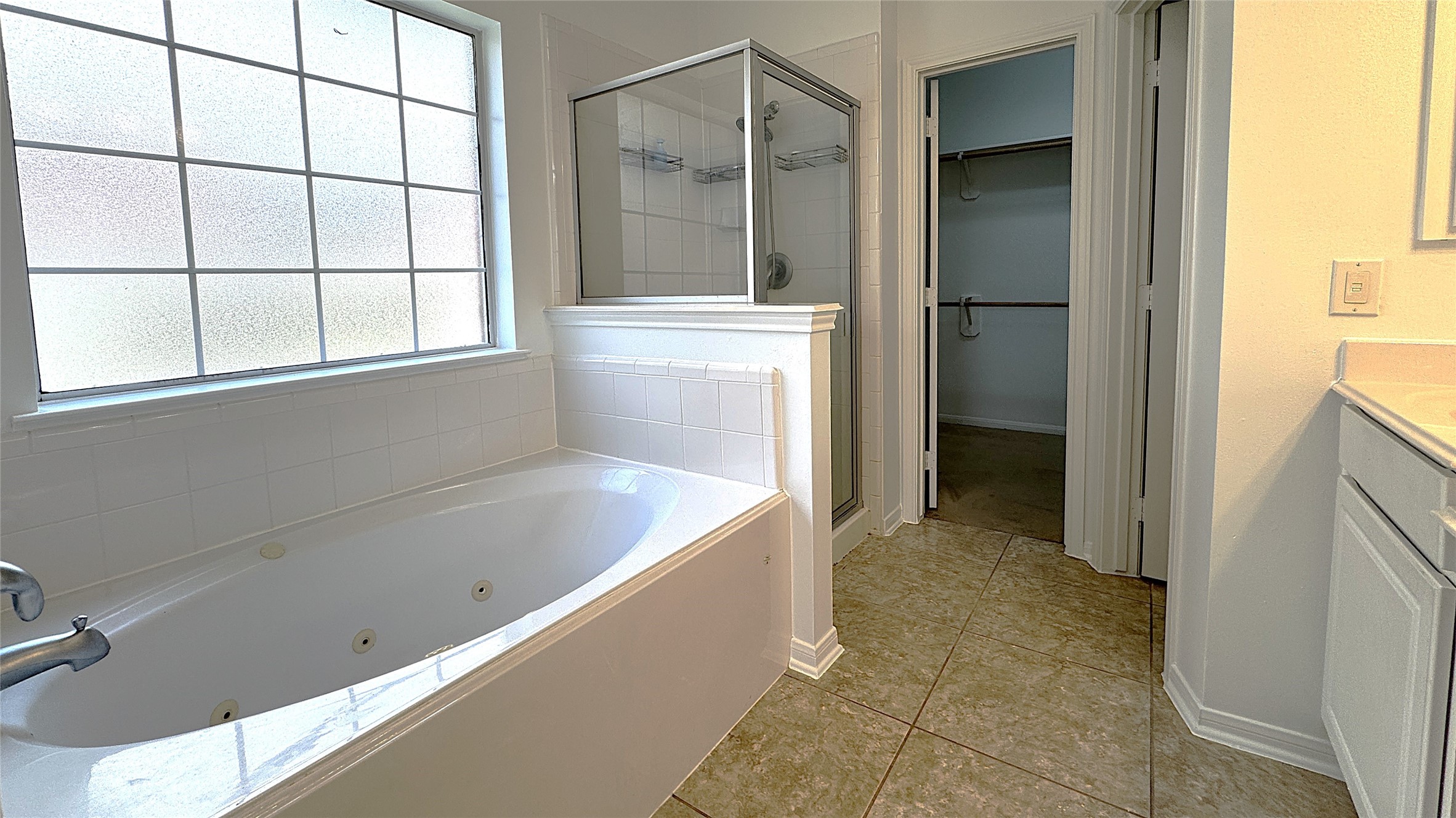 17630 Riata Springs Lane Property Photo 15