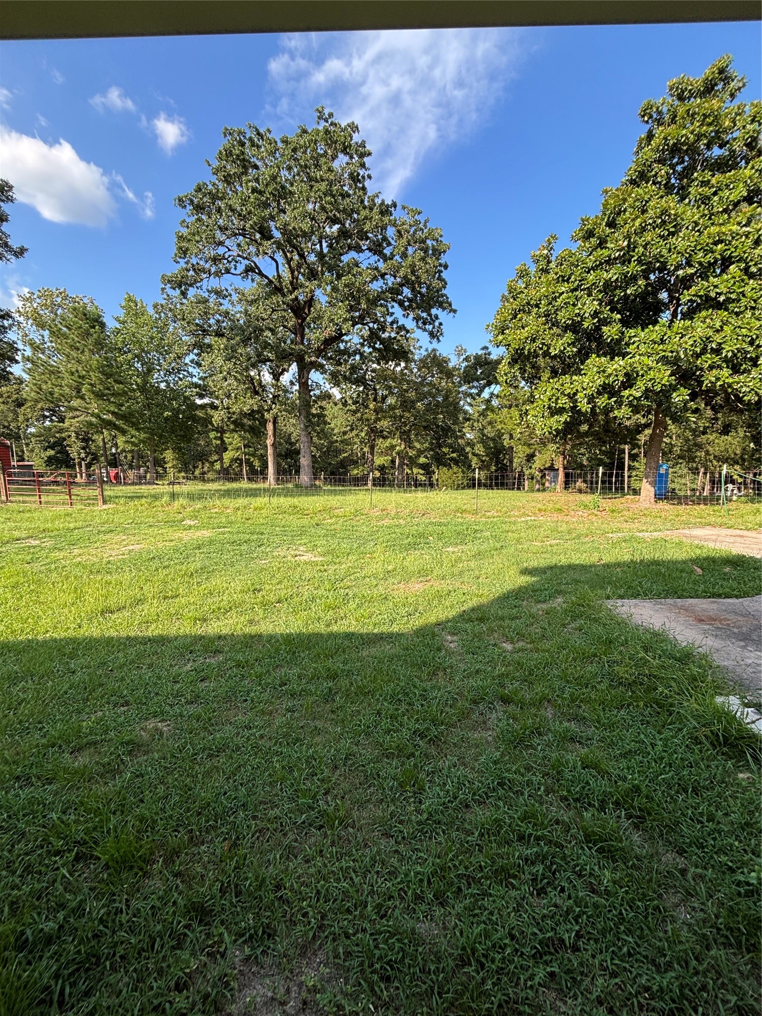 8049 Forest Hills Drive Property Photo 10