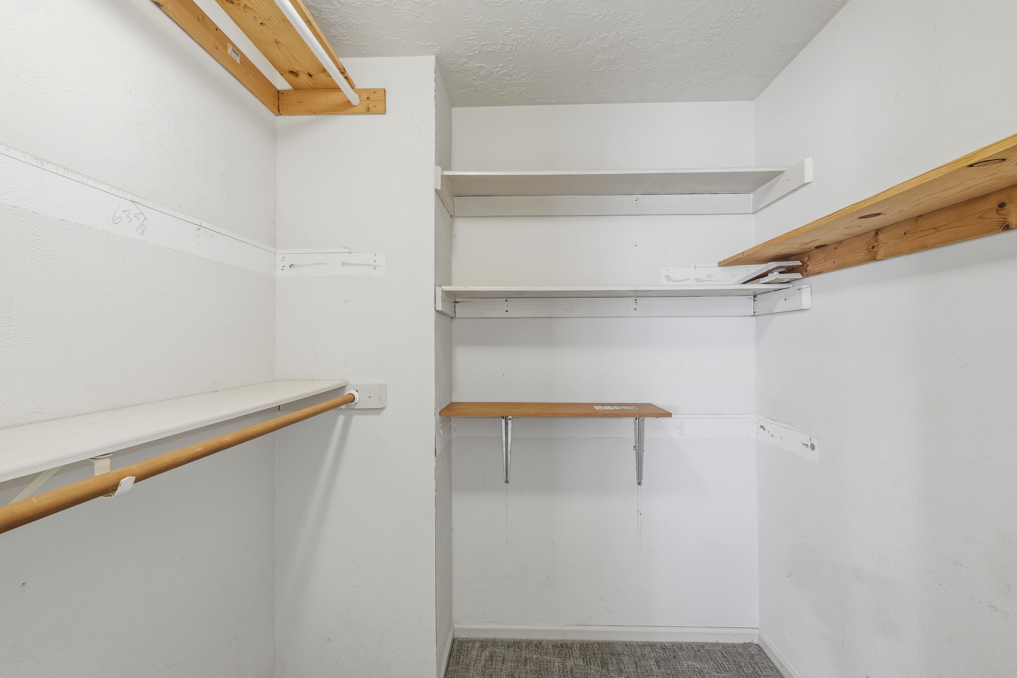 3311 Richmond Ferry Court Property Photo 17