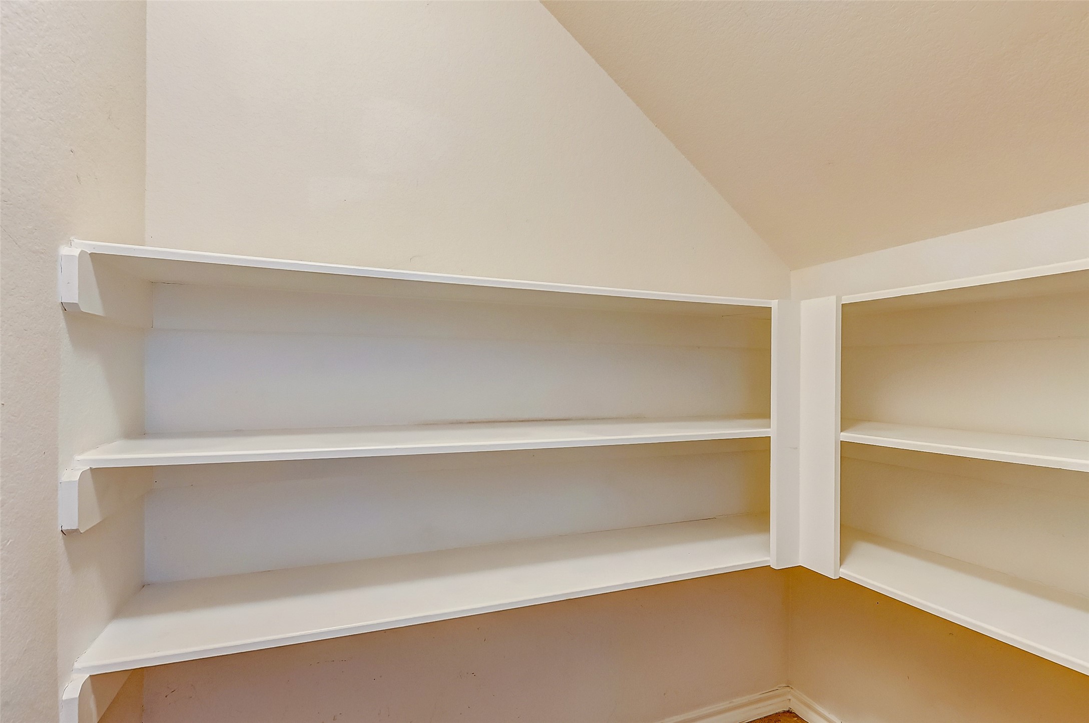 6451 Calgary Woods Lane Property Photo 23