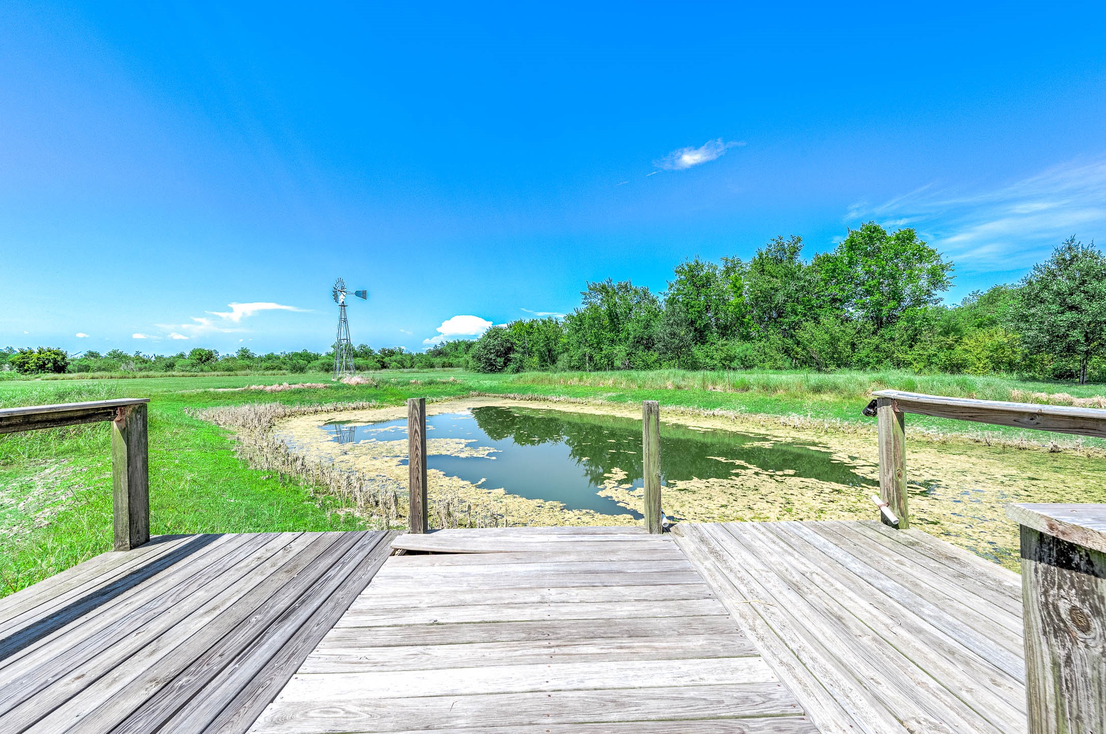 10311 Fm 1462 Road Property Photo 47