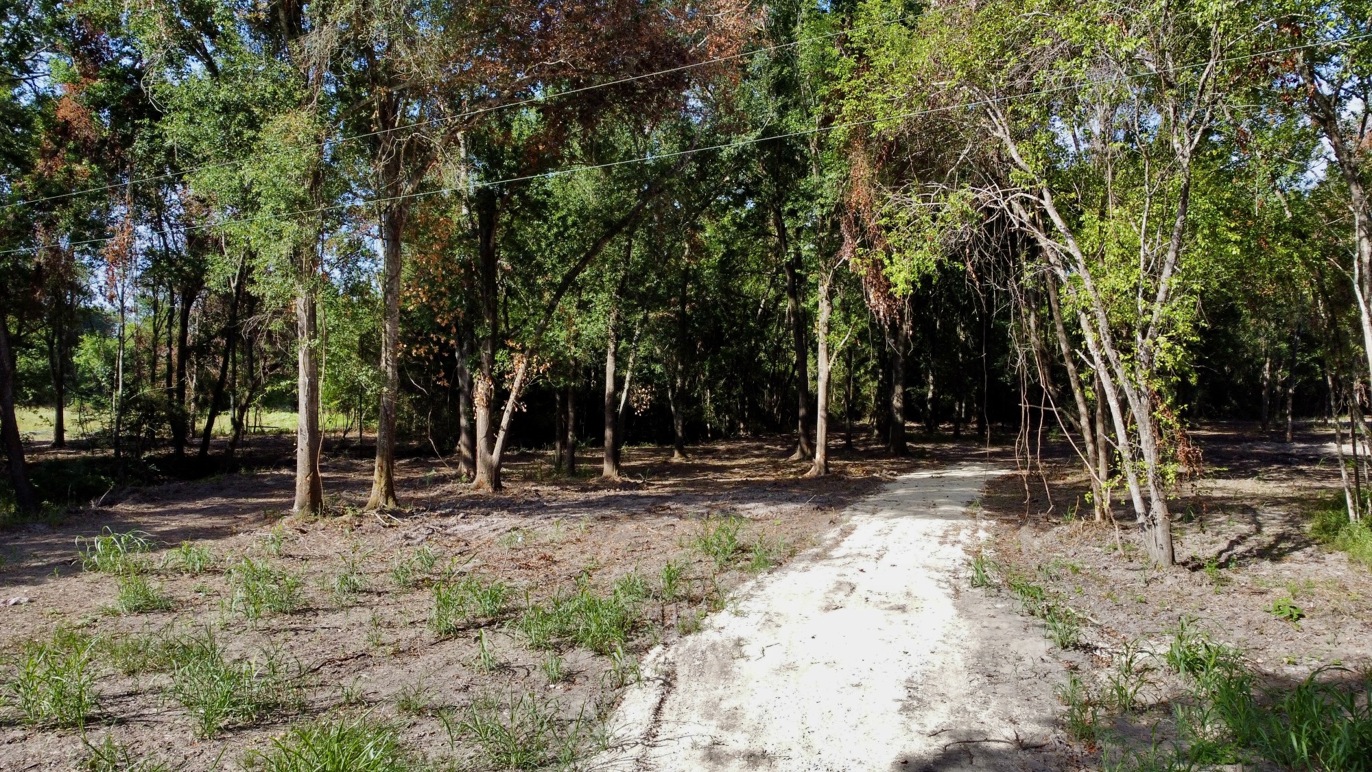 13 +/- Acres Greenbriar Road Property Photo 1