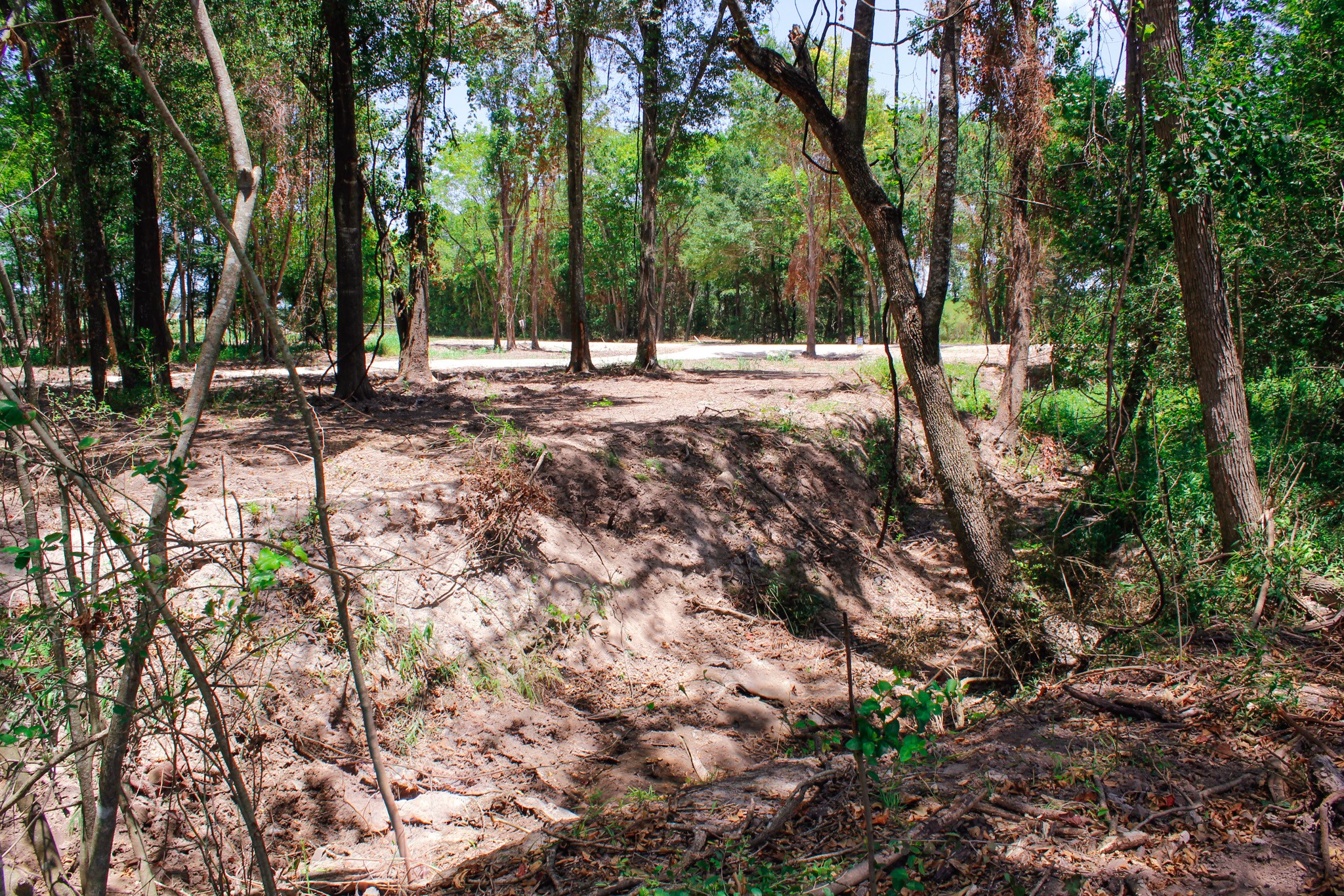 13 +/- Acres Greenbriar Road Property Photo 2