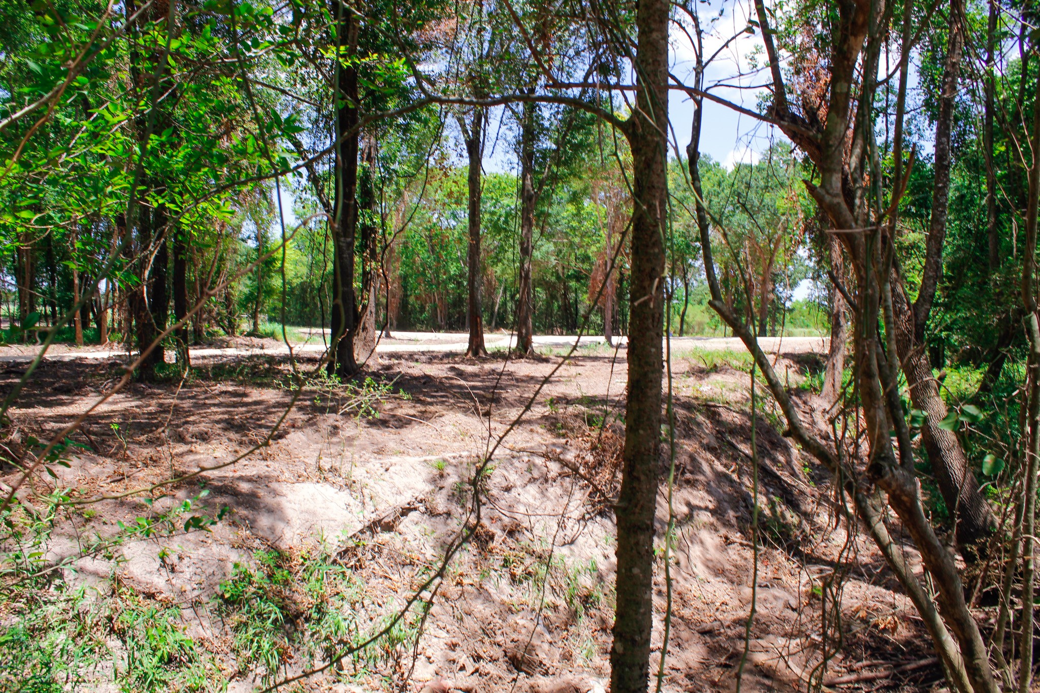 13 +/- Acres Greenbriar Road Property Photo 3