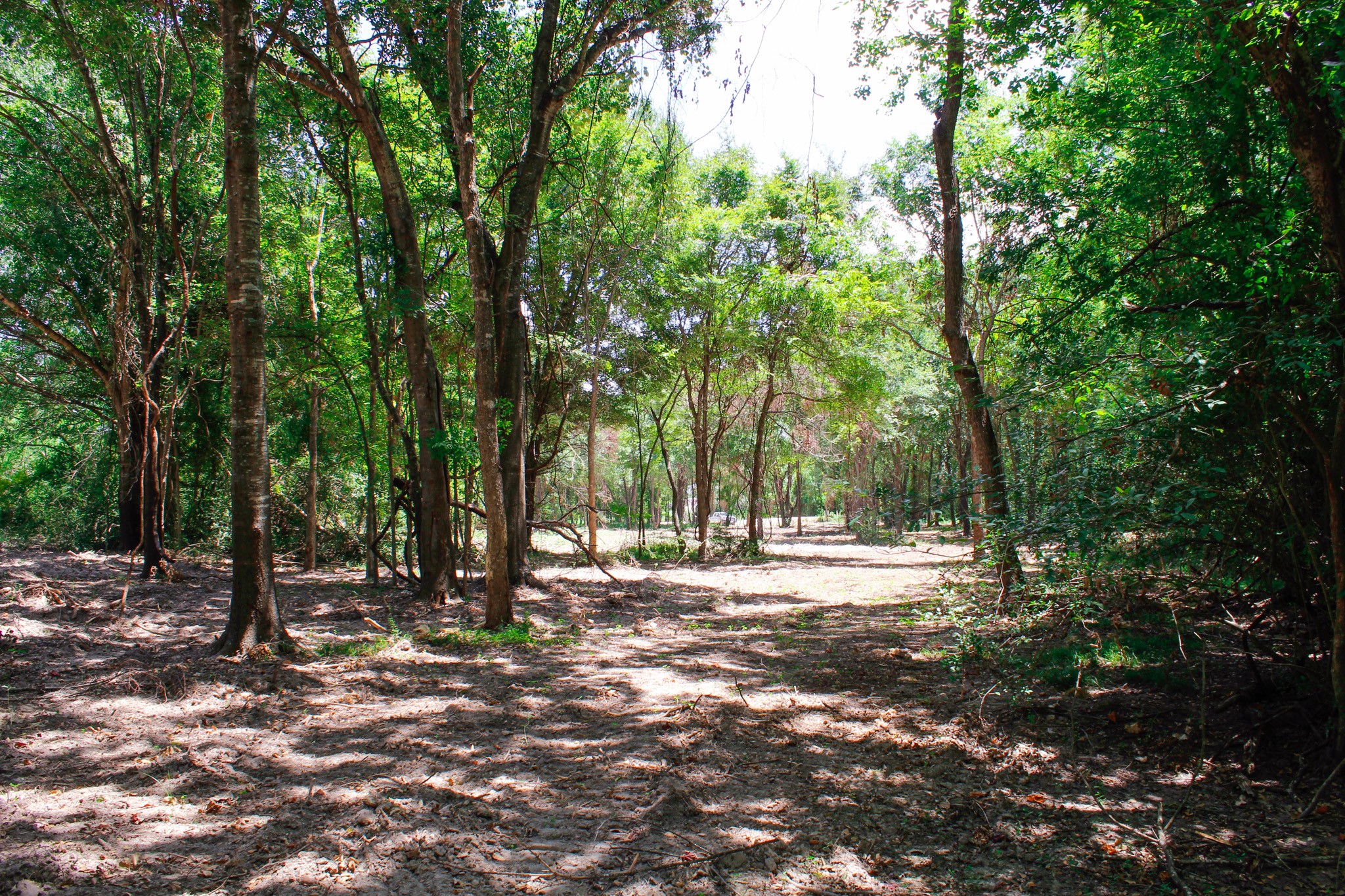 13 +/- Acres Greenbriar Road Property Photo 4