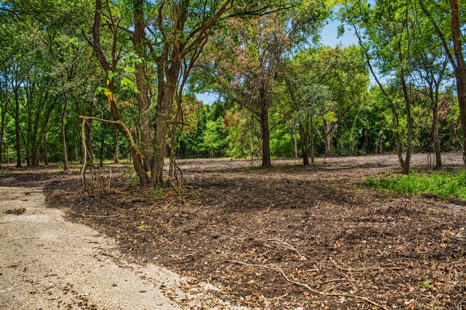 13 +/- Acres Greenbriar Road Property Photo 8
