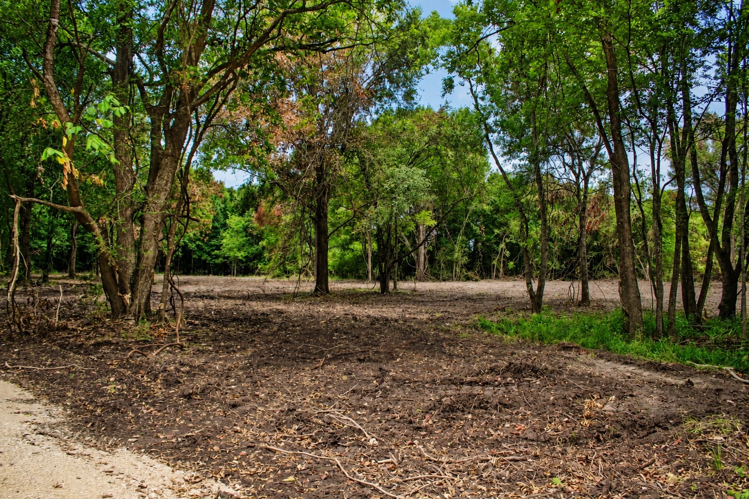 13 +/- Acres Greenbriar Road Property Photo 9