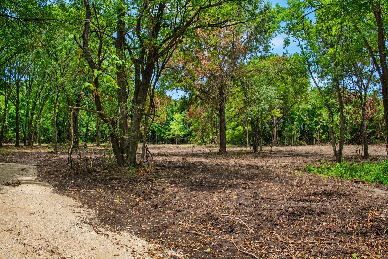 13 +/- Acres Greenbriar Road Property Photo 10