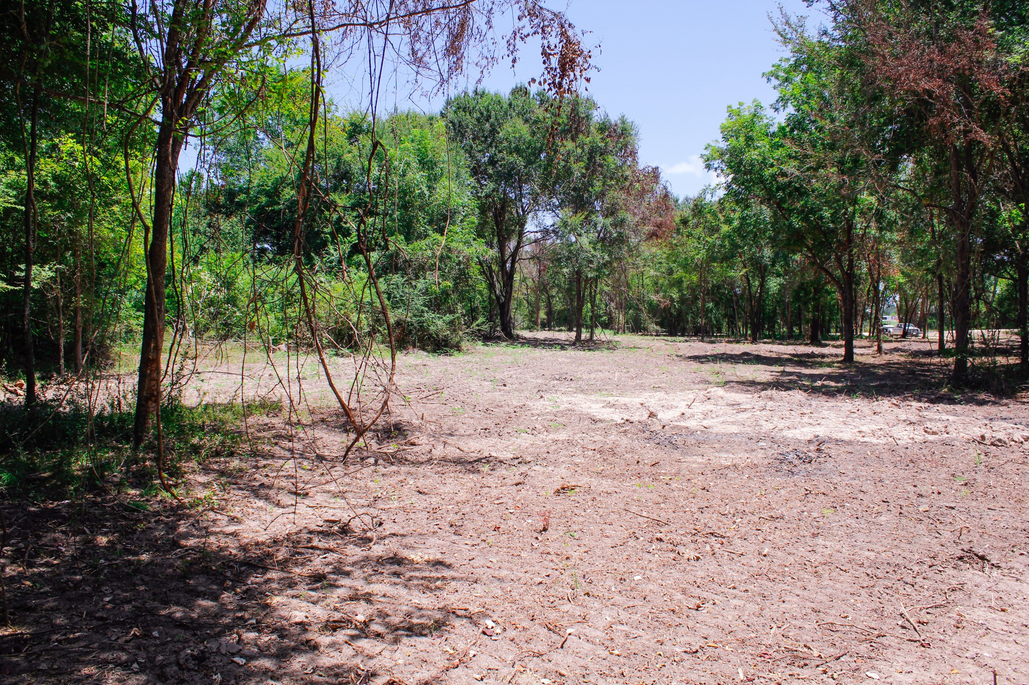13 +/- Acres Greenbriar Road Property Photo 15
