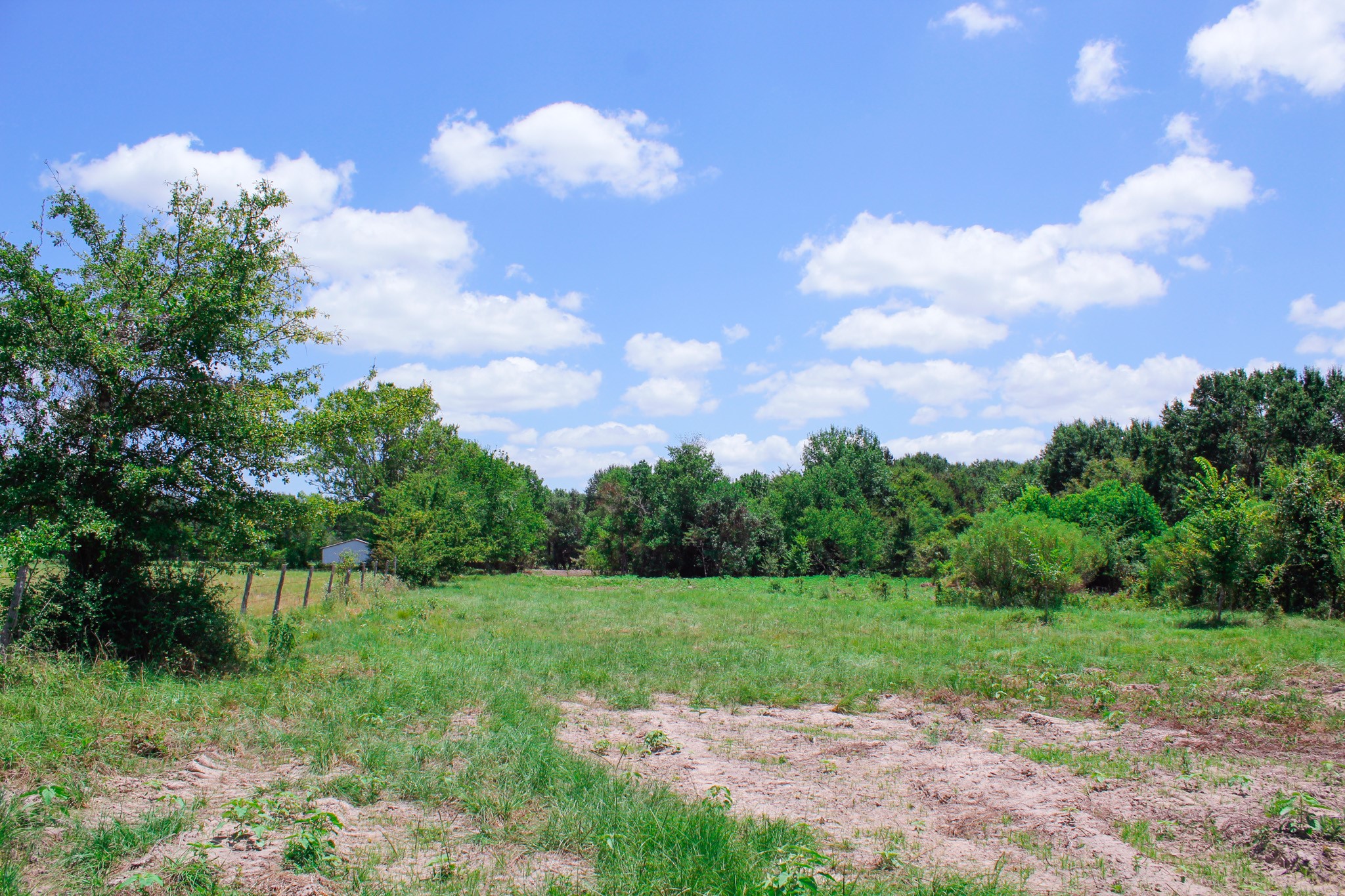 13 +/- Acres Greenbriar Road Property Photo 17