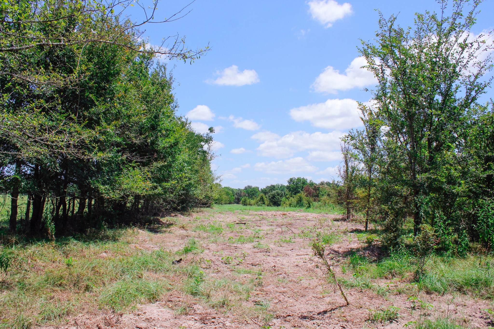13 +/- Acres Greenbriar Road Property Photo 19