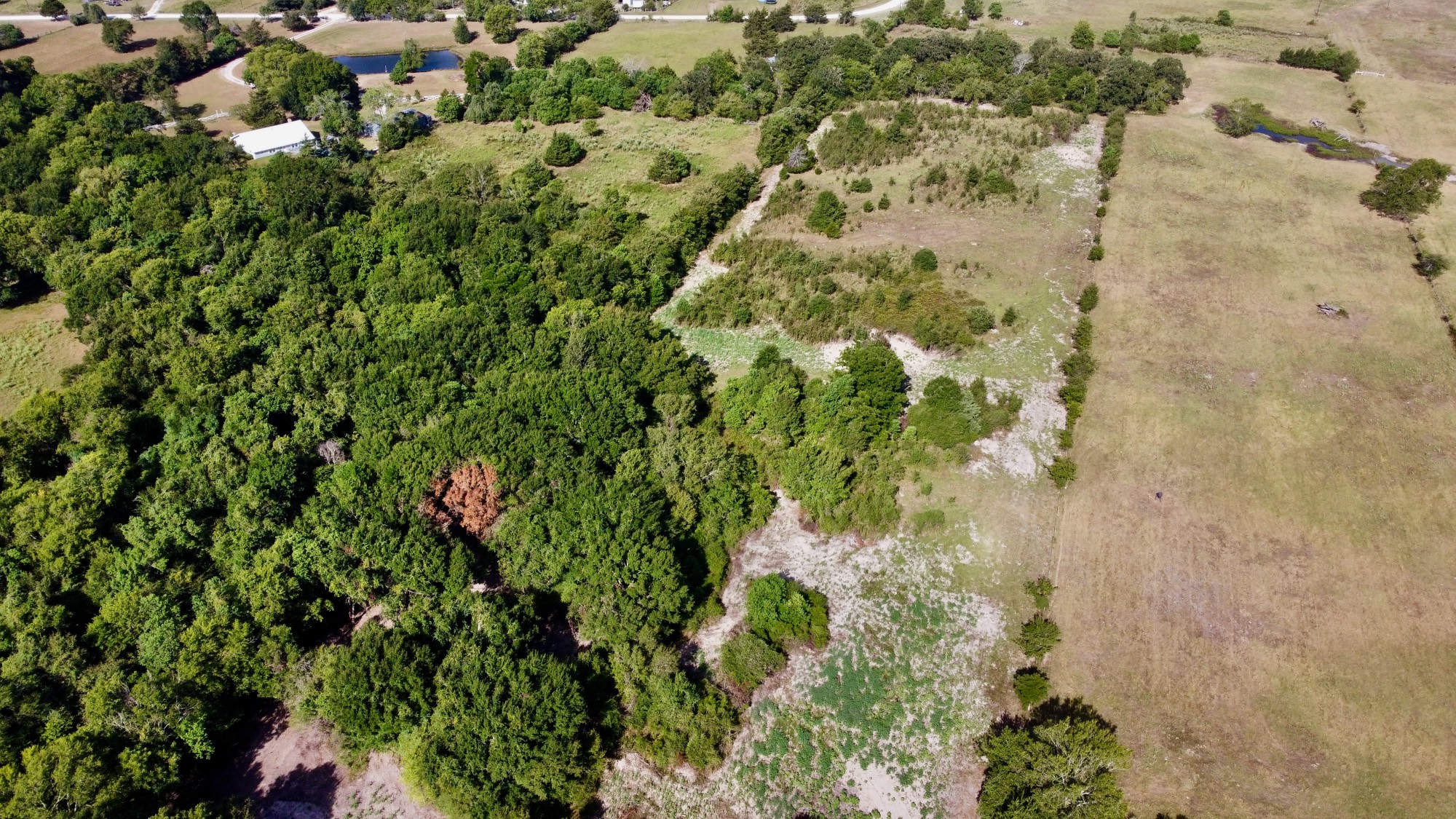 13 +/- Acres Greenbriar Road Property Photo 22