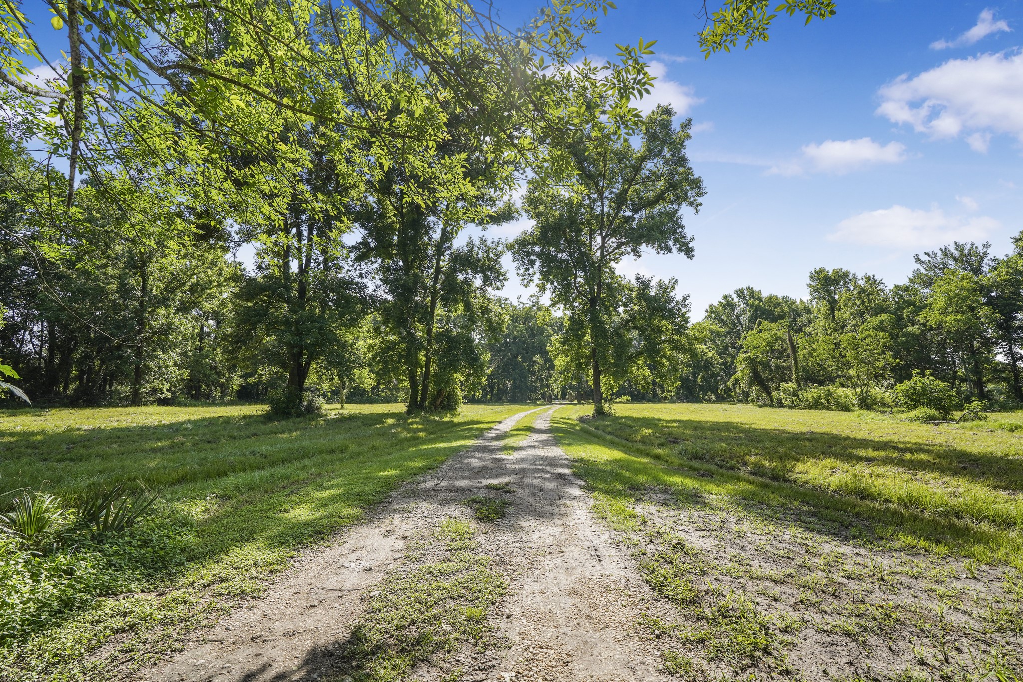 20547 Crosby Eastgate Road Property Photo 41
