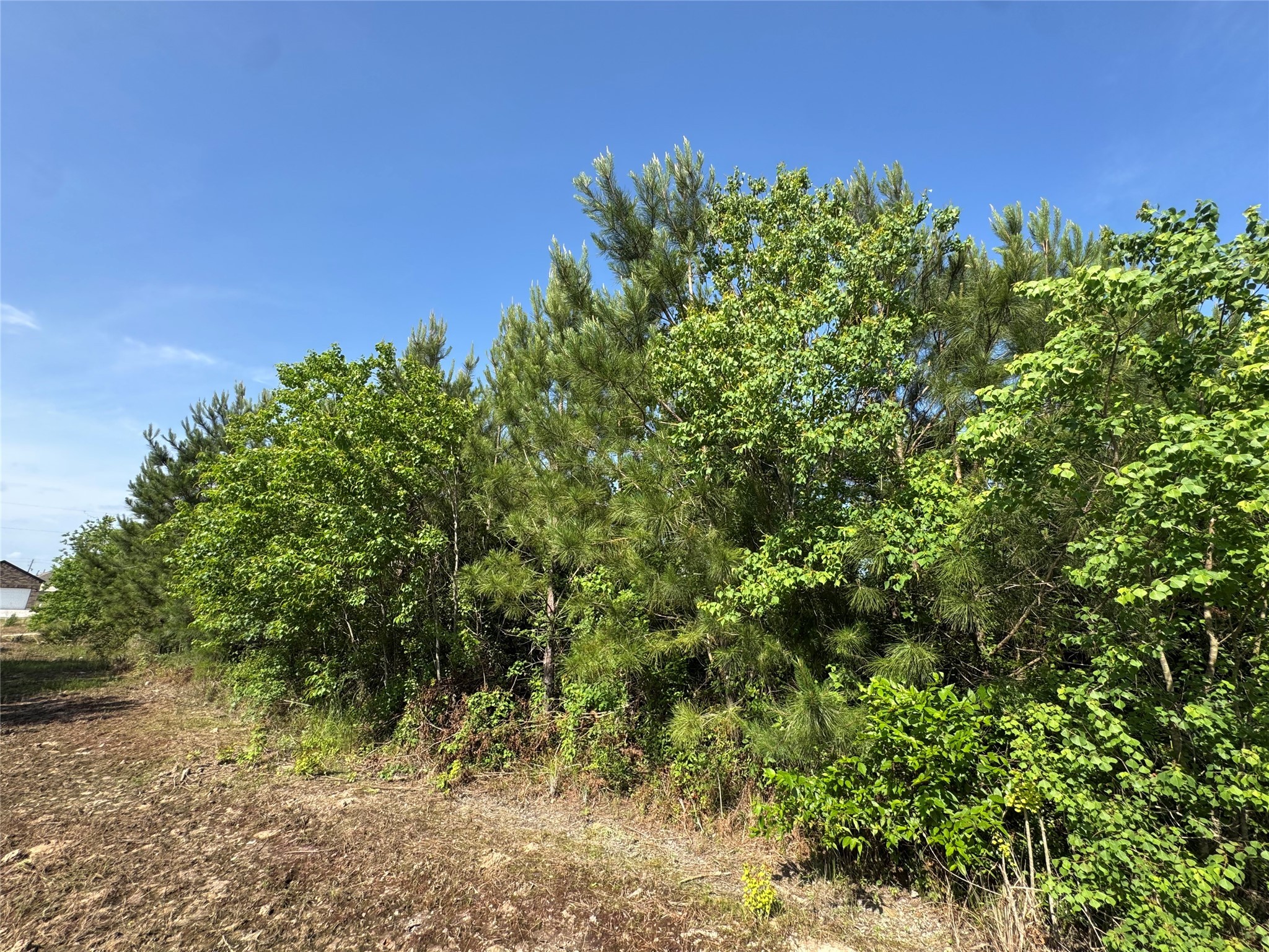 67 Road 5102 Property Photo 5
