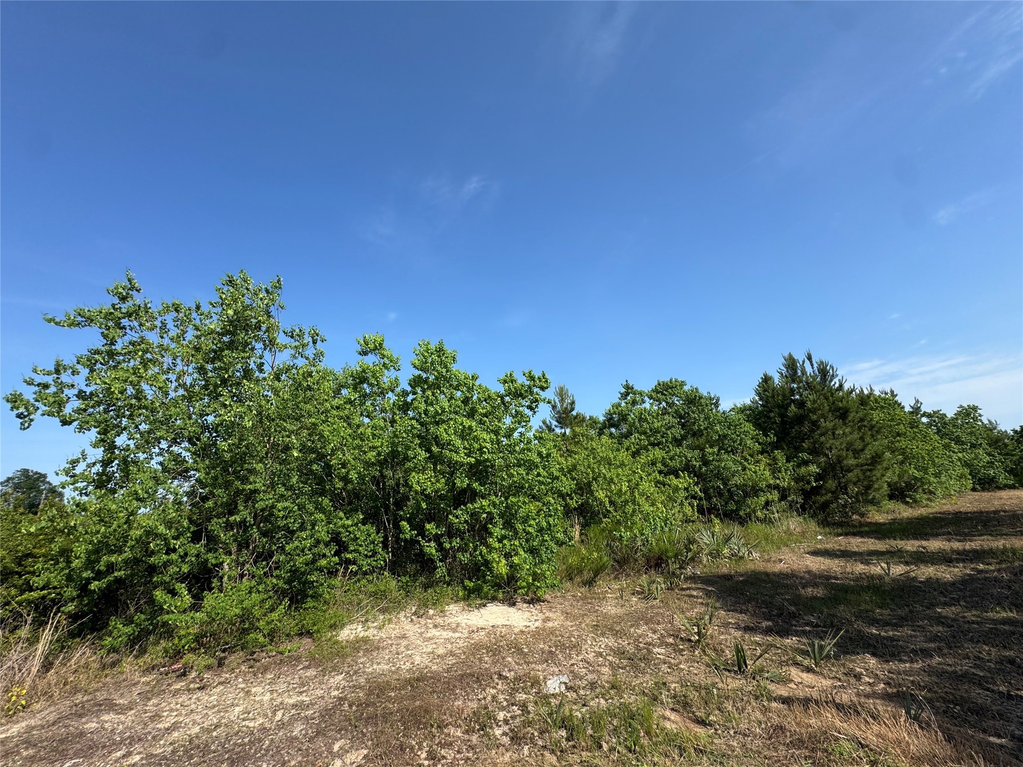 67 Road 5102 Property Photo 6