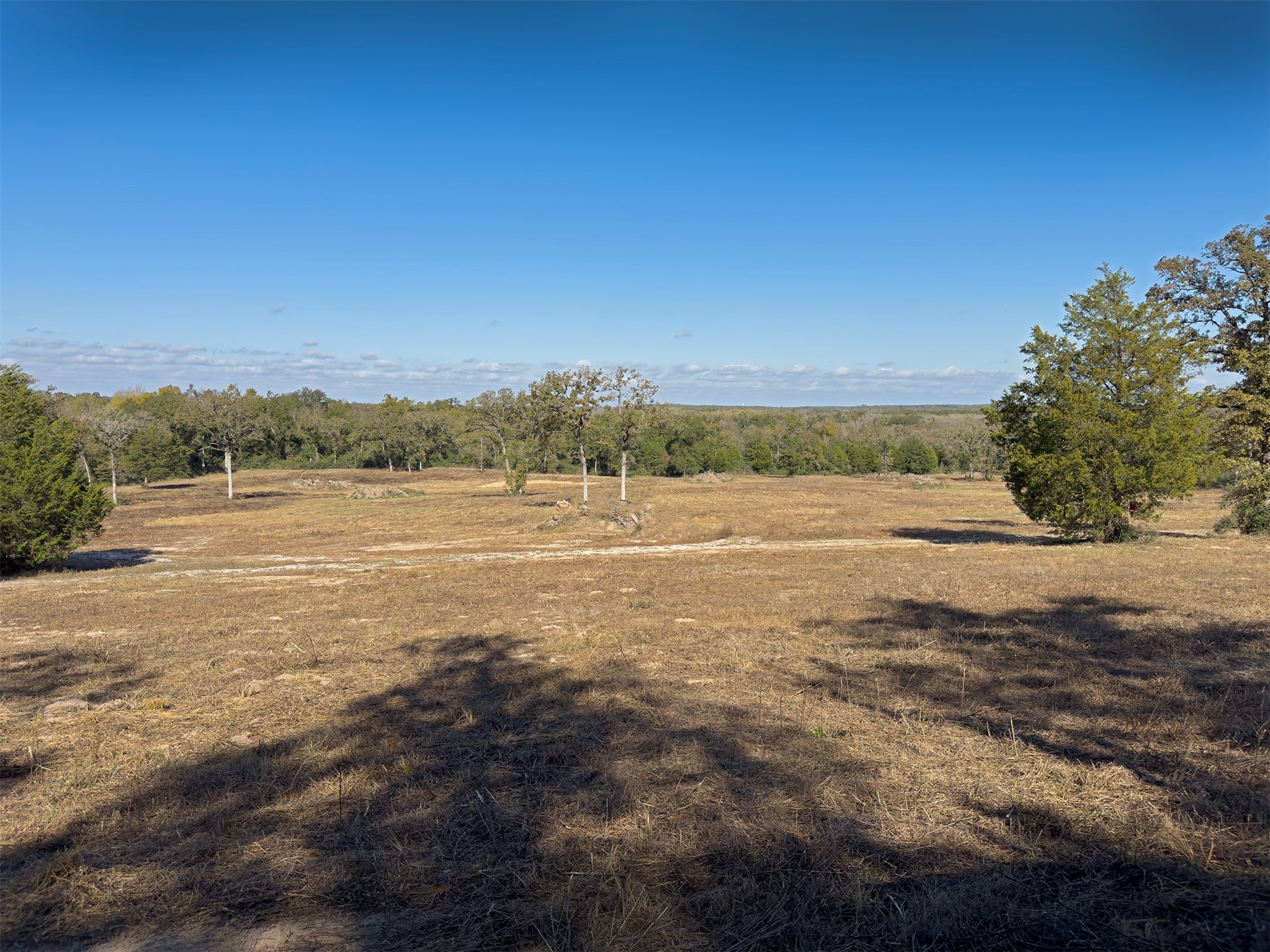 10429 County Road 313 Property Photo 2