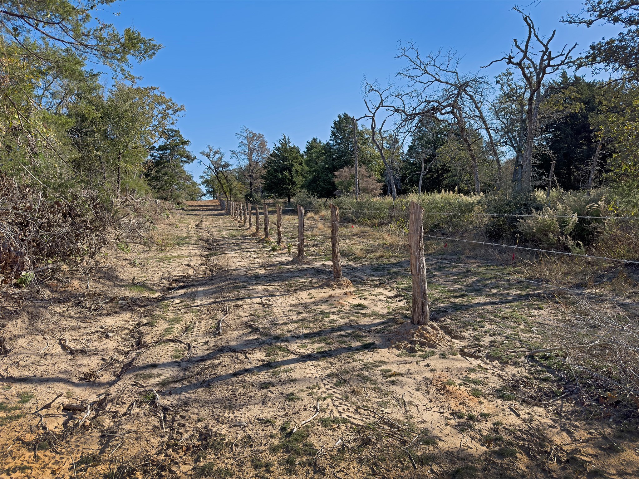 10429 County Road 313 Property Photo 4